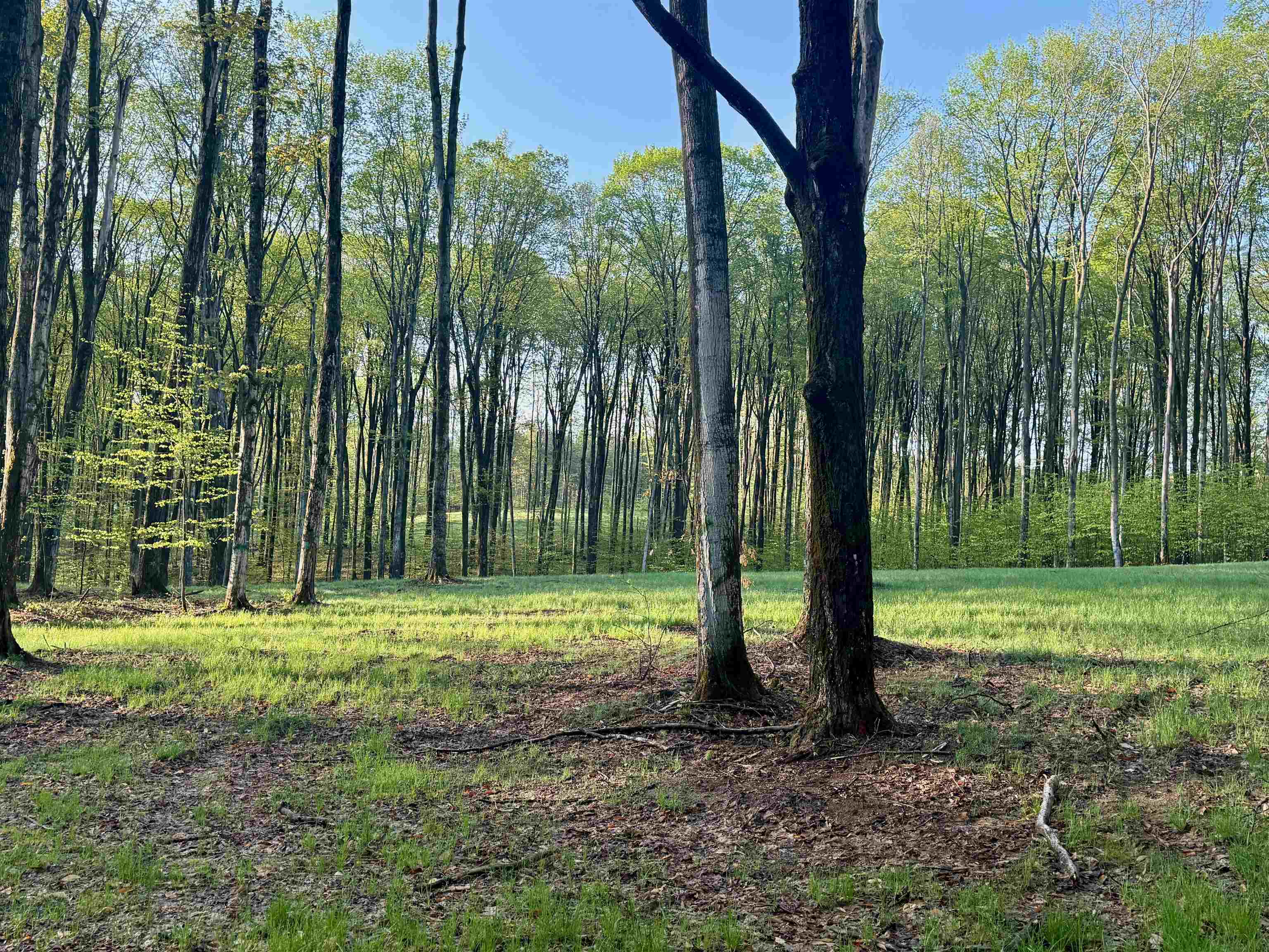 02 S Bright Road, Maple City, MI, 49664