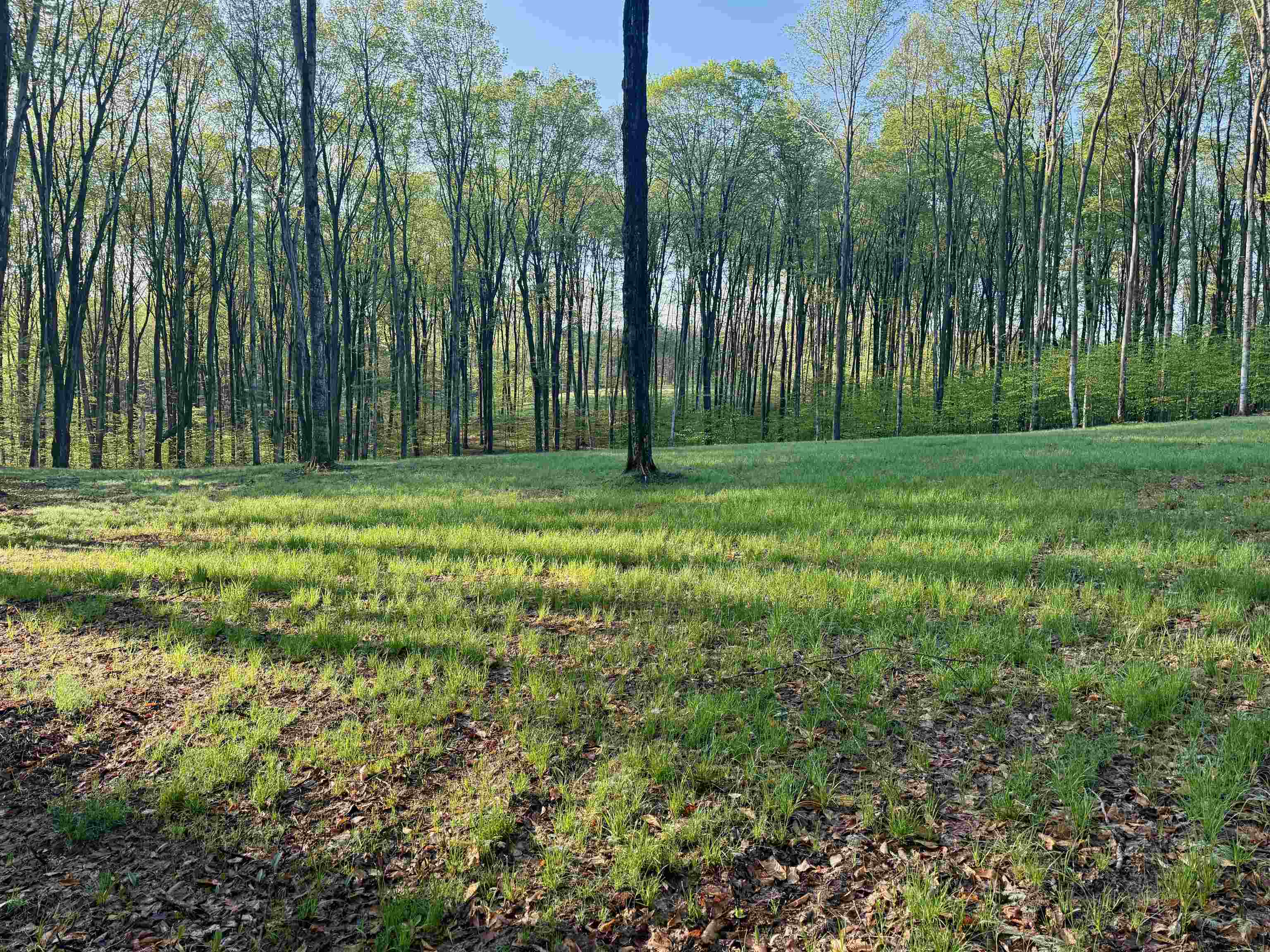 02 S Bright Road, Maple City, MI, 49664