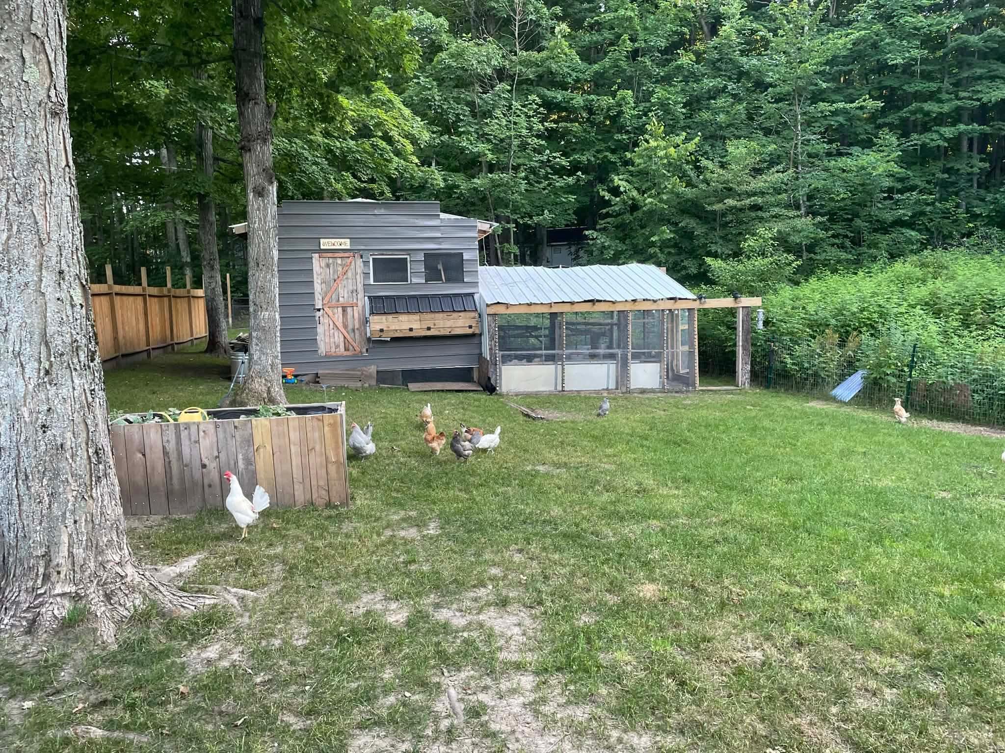 7939 NE Co Road 571, Mancelona, MI, 49659