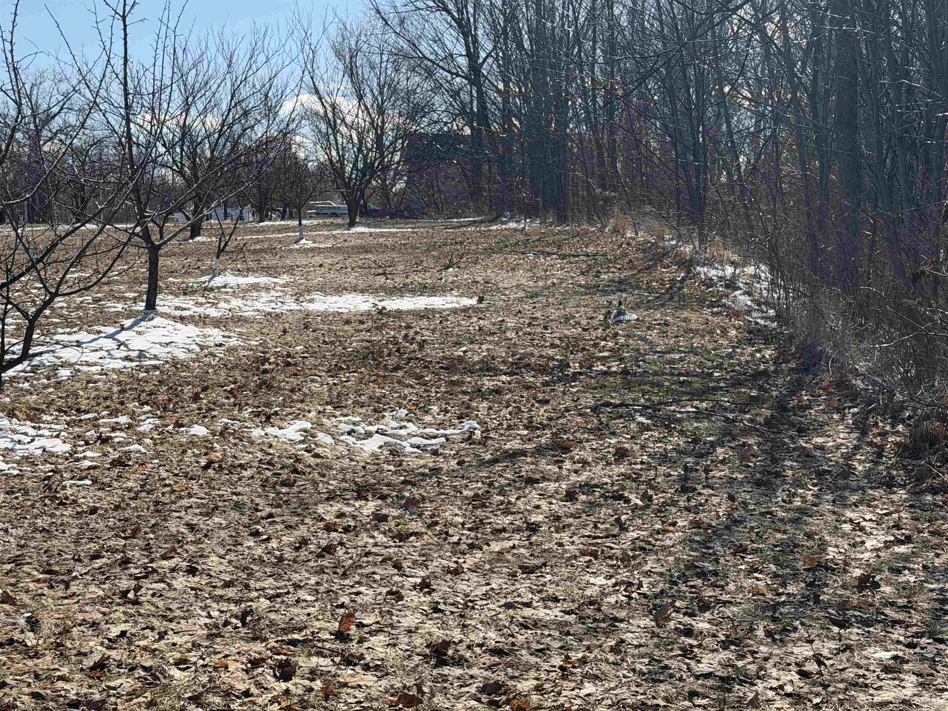 0 Center Road, Traverse City, MI, 49686