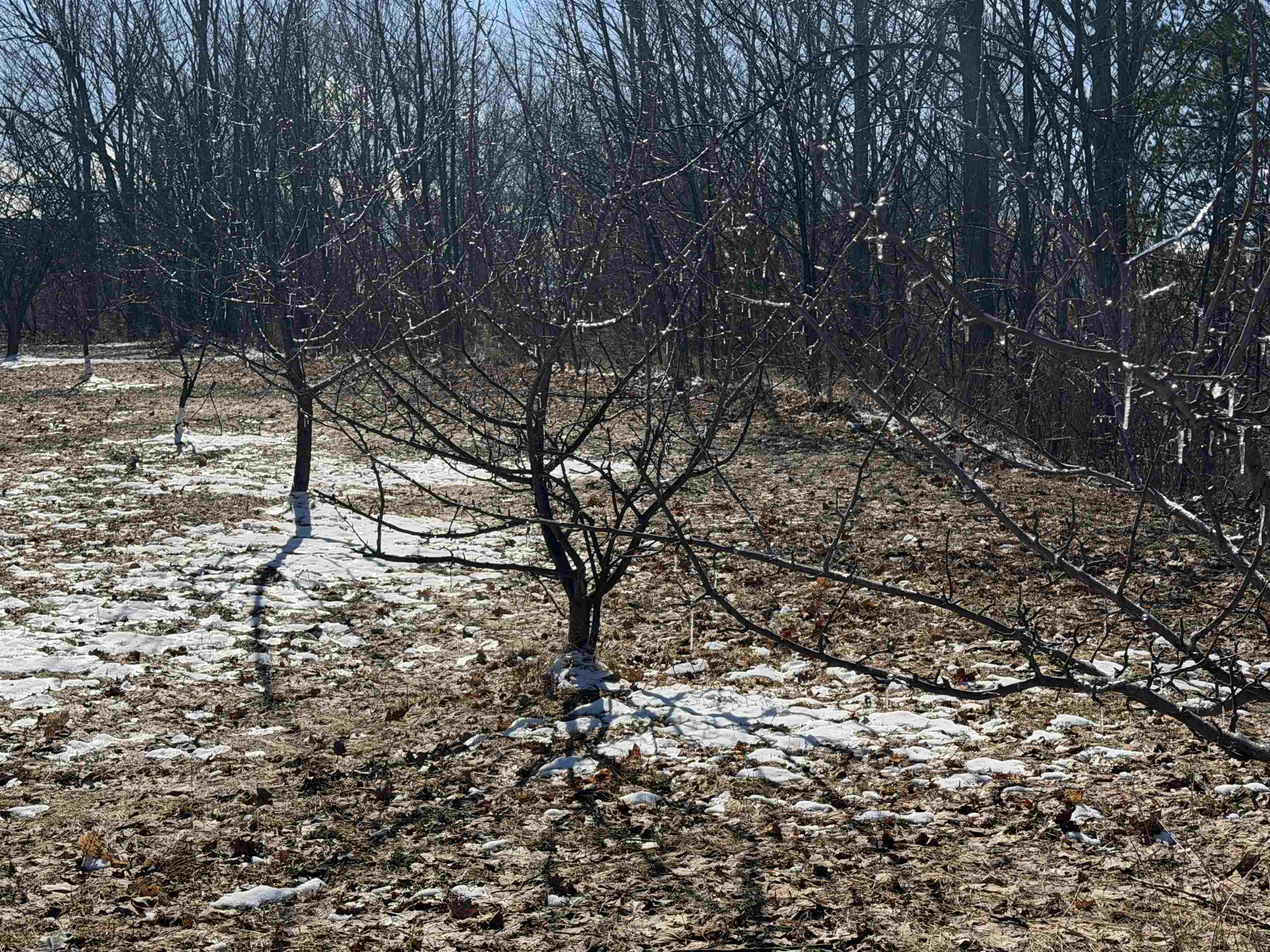 0 Center Road, Traverse City, MI, 49686