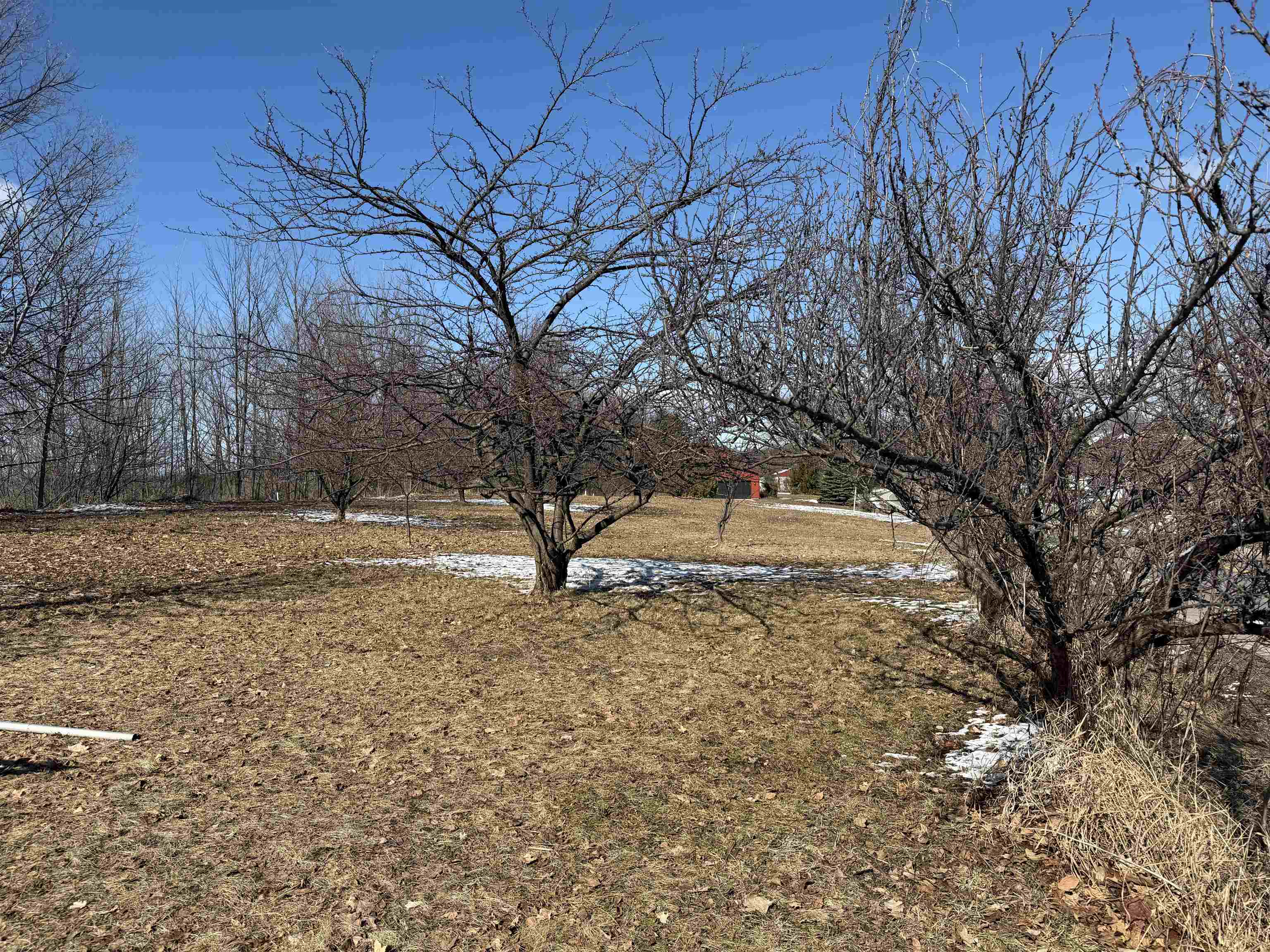 0 Center Road, Traverse City, MI, 49686