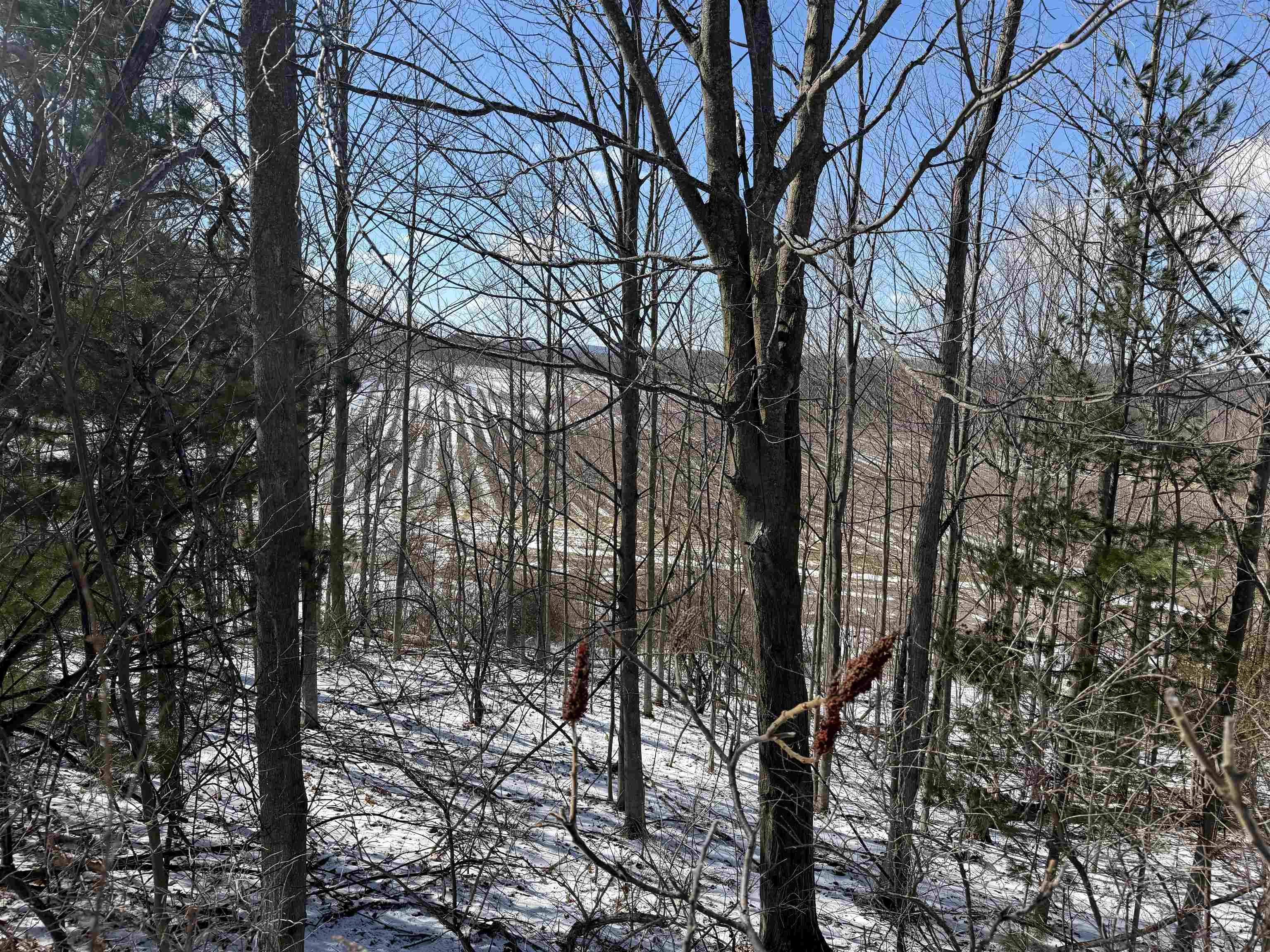 0 Center Road, Traverse City, MI, 49686