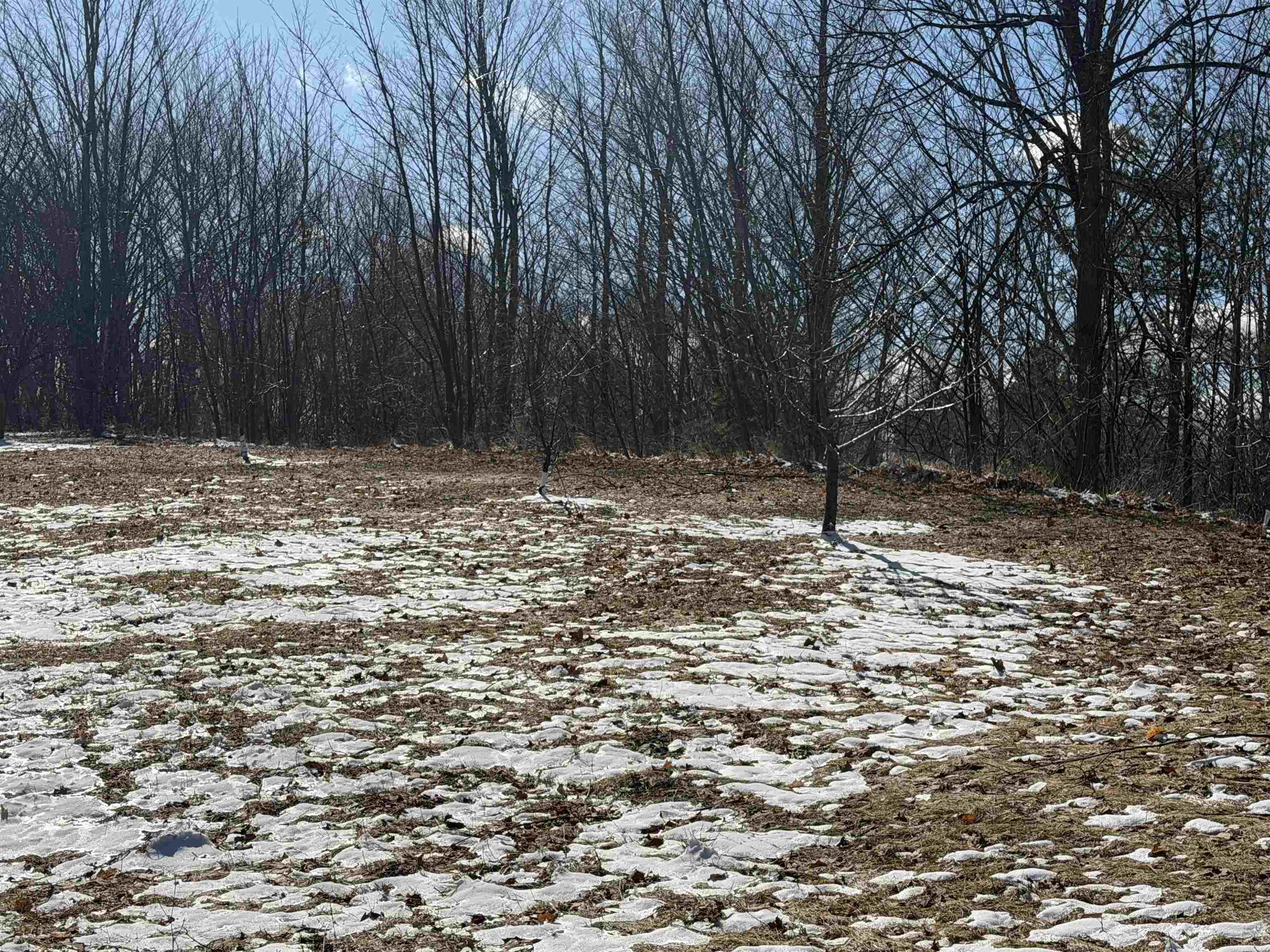 0 Center Road, Traverse City, MI, 49686