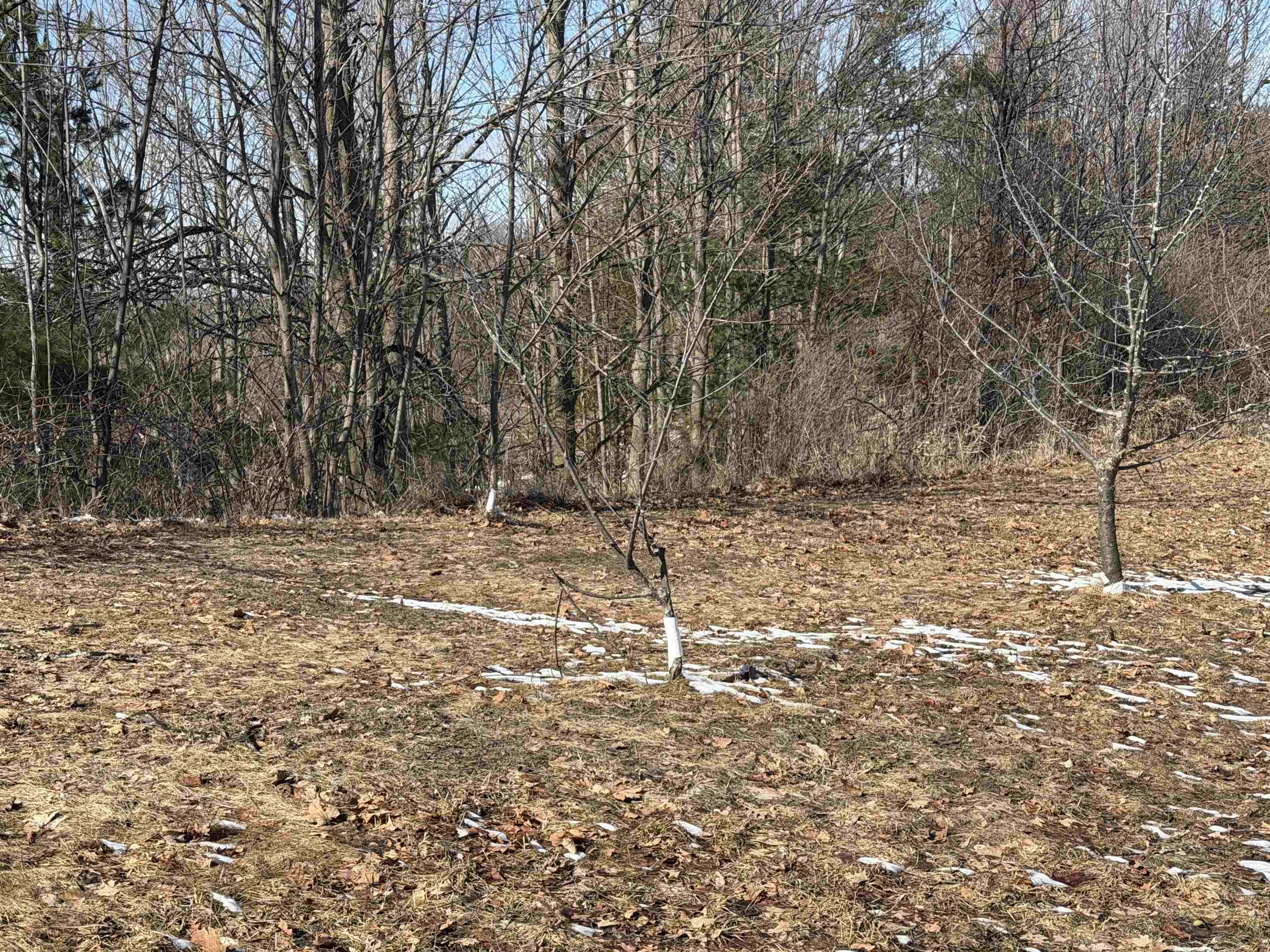 0 Center Road, Traverse City, MI, 49686