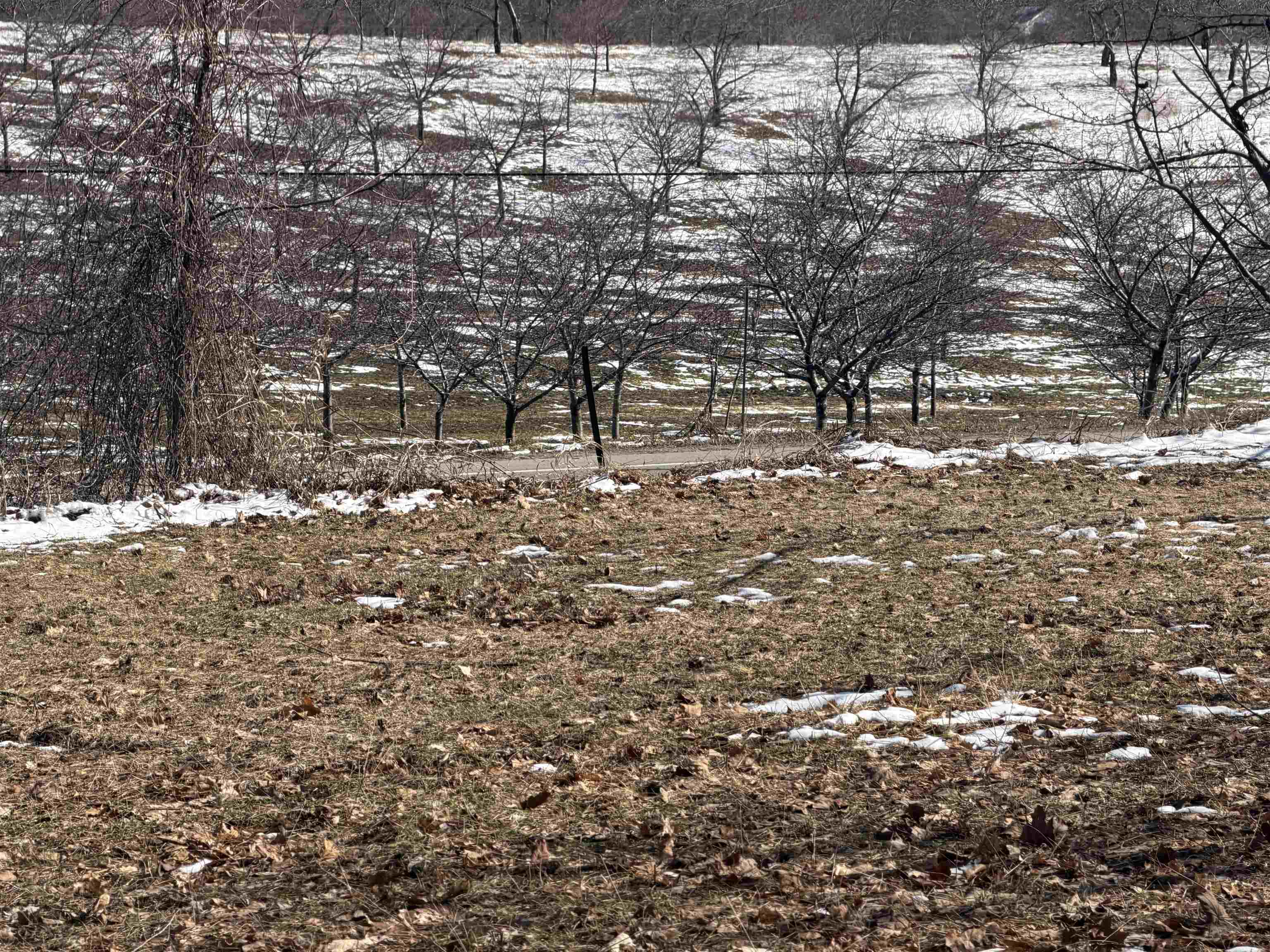 0 Center Road, Traverse City, MI, 49686