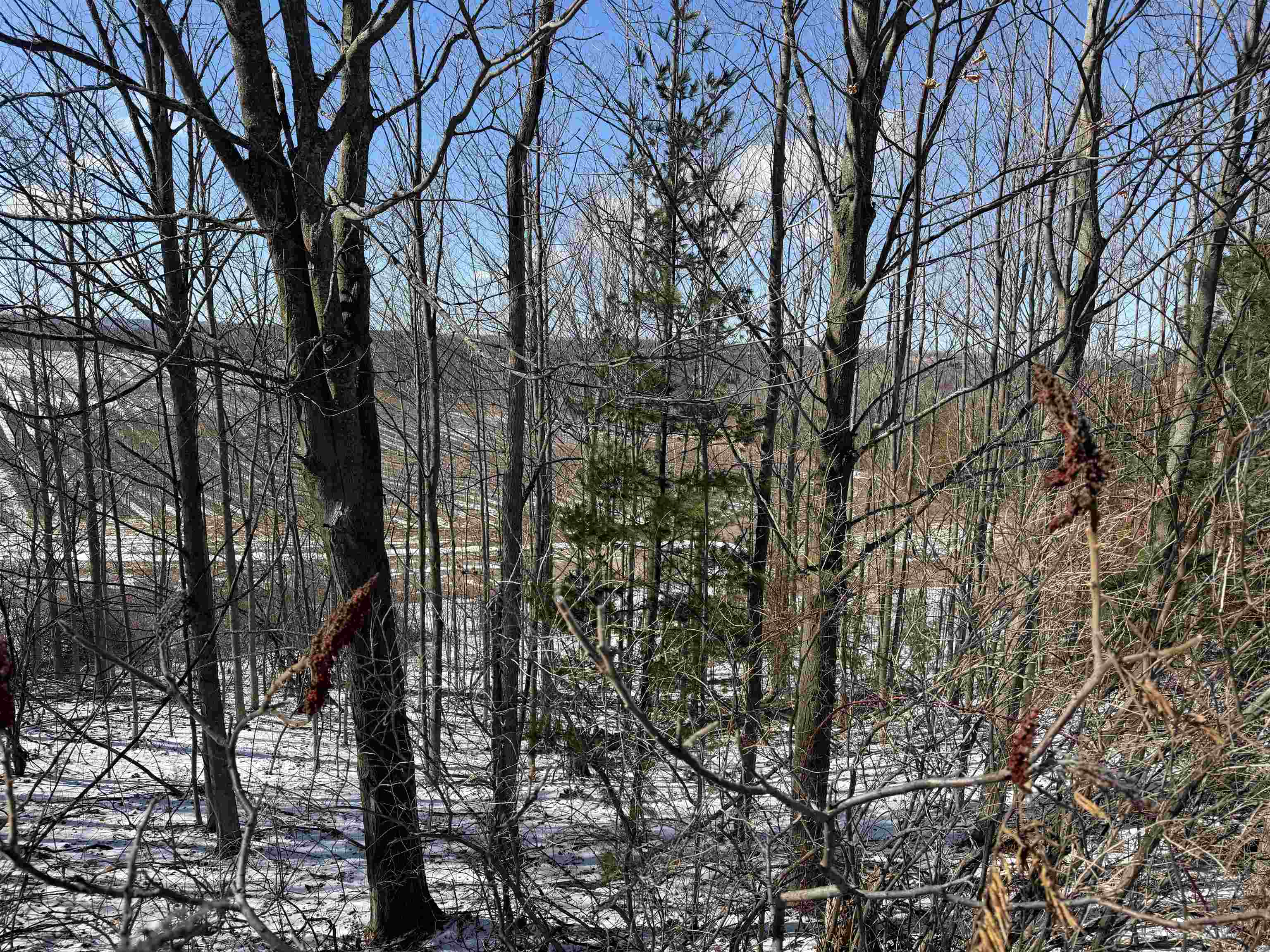 0 Center Road, Traverse City, MI, 49686