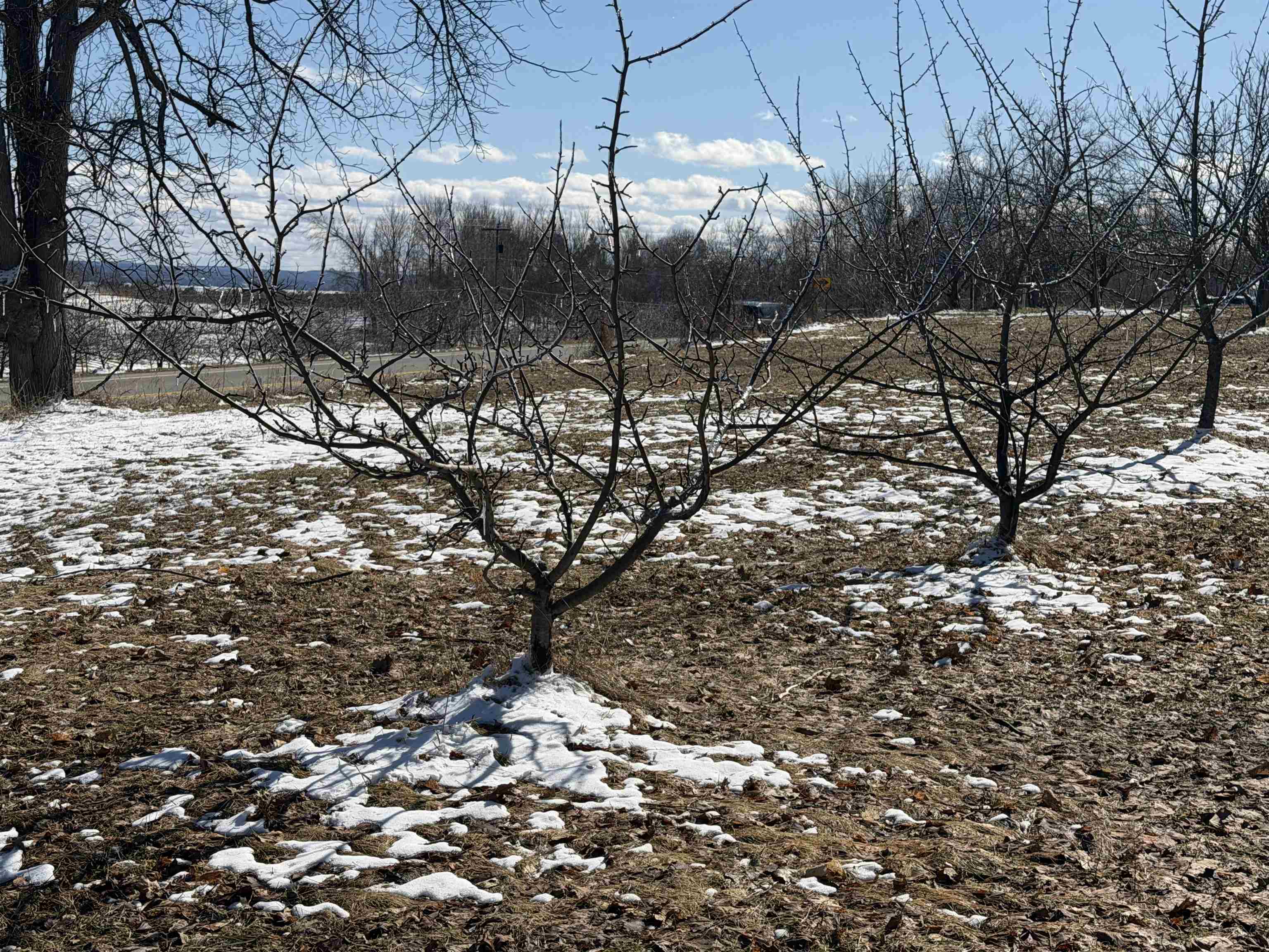 0 Center Road, Traverse City, MI, 49686