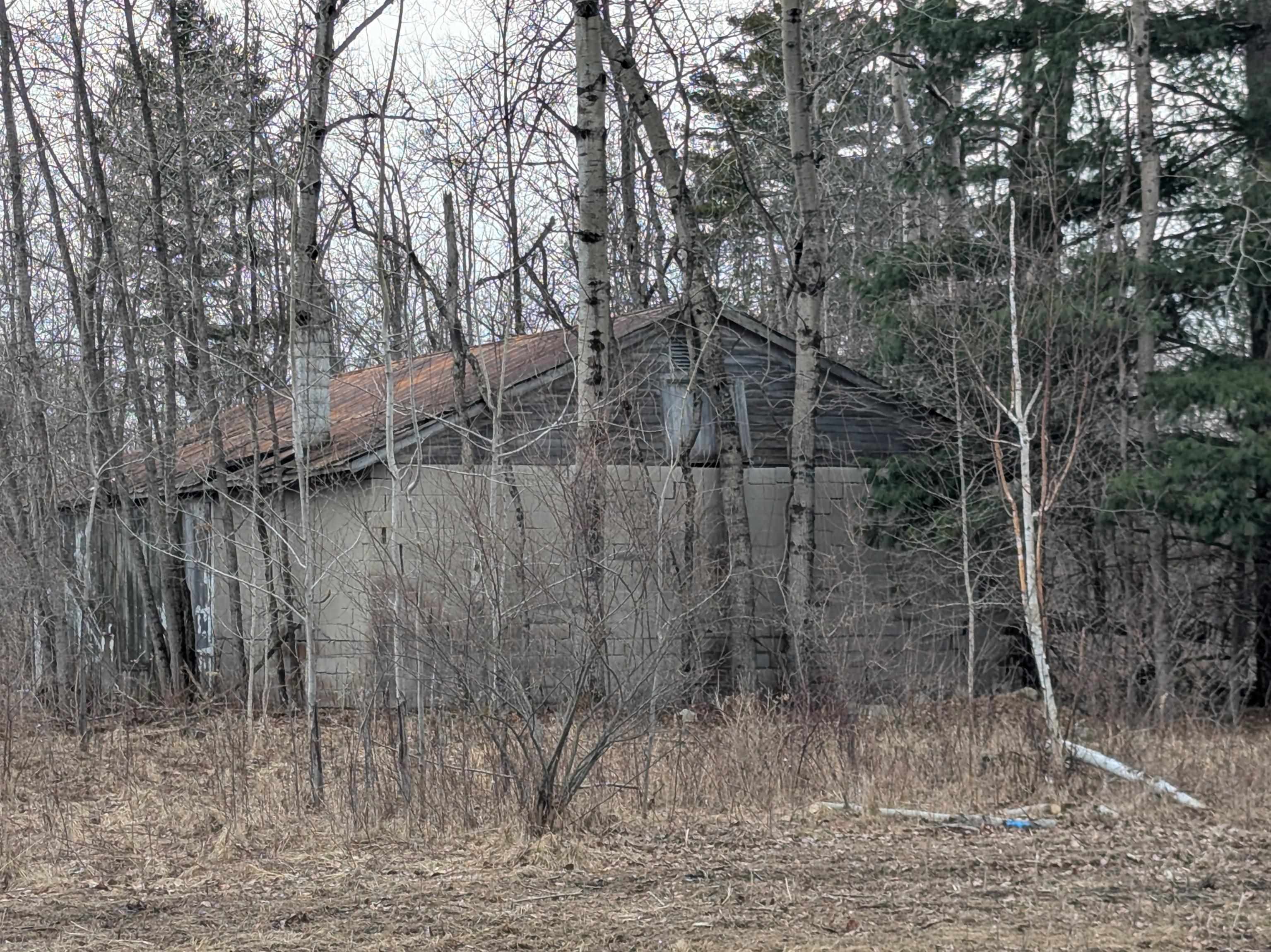 4438 Reynolds Road, Turner, MI, 48765