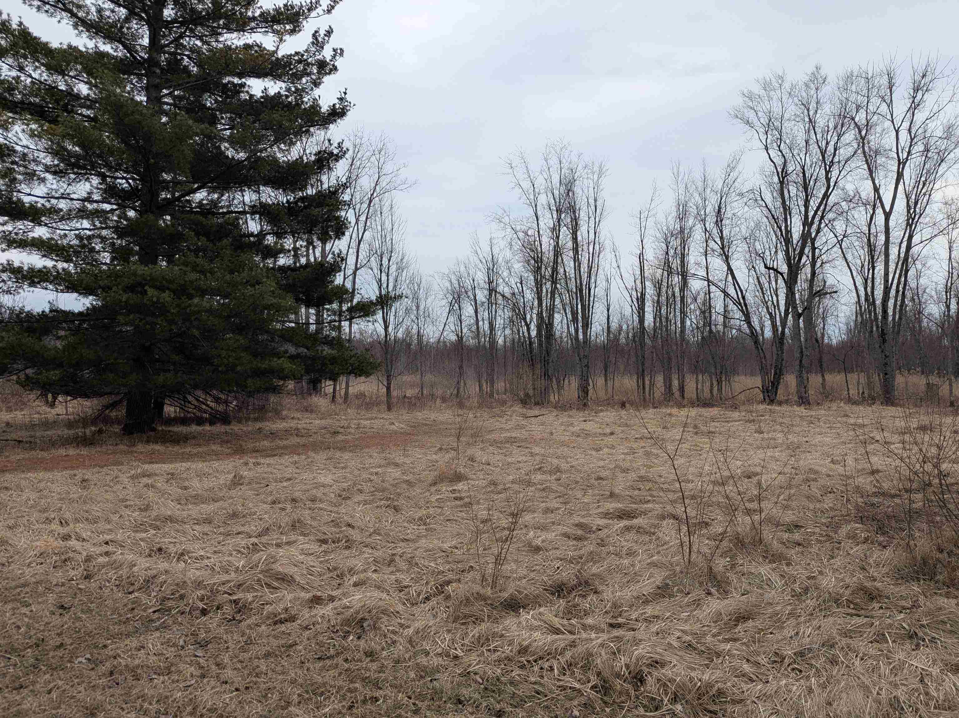 4438 Reynolds Road, Turner, MI, 48765