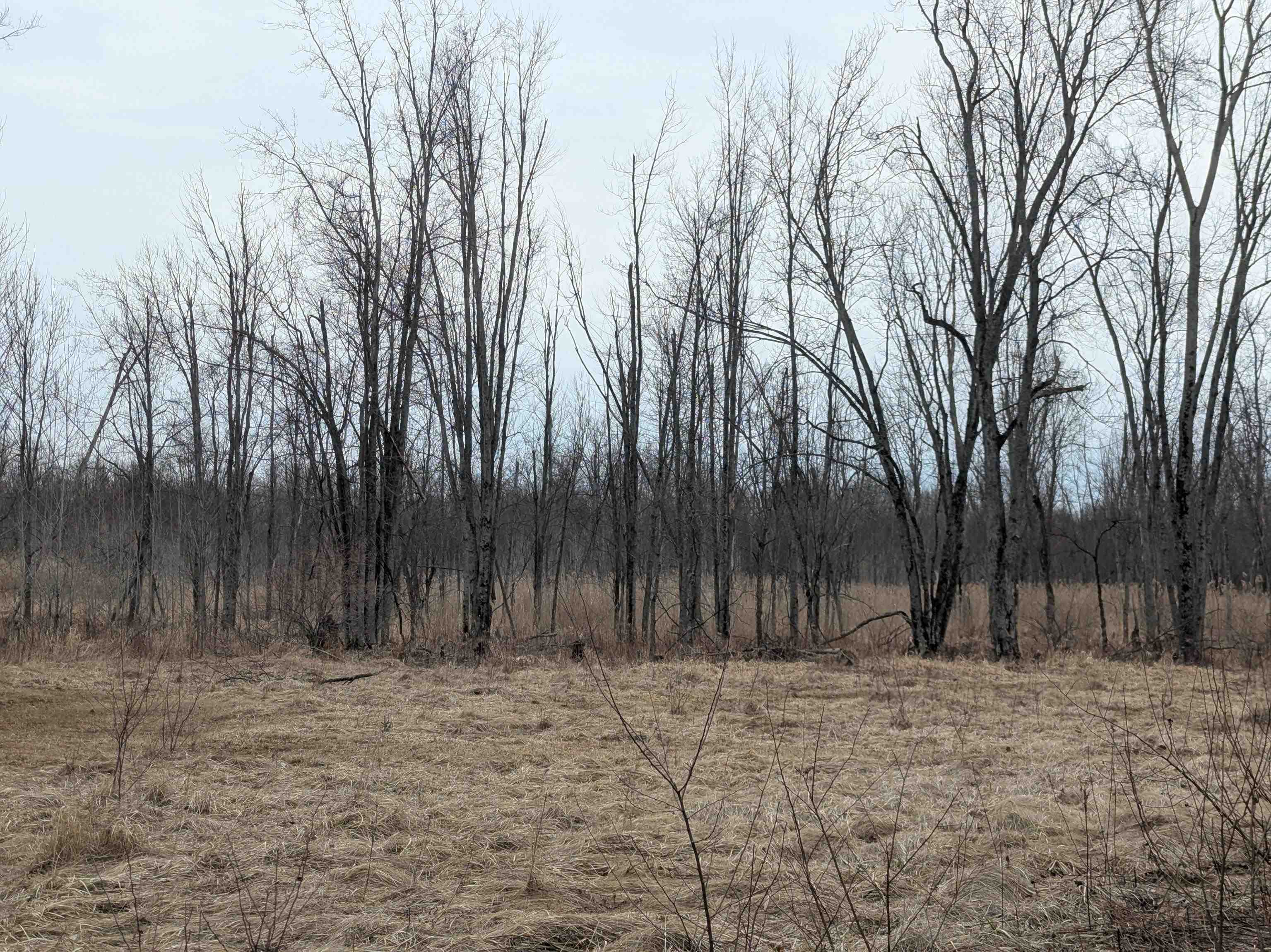 4438 Reynolds Road, Turner, MI, 48765