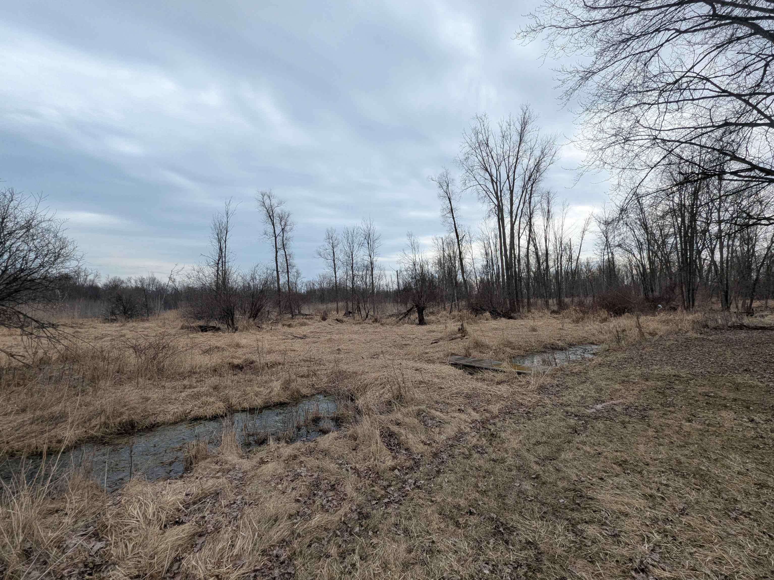 4438 Reynolds Road, Turner, MI, 48765