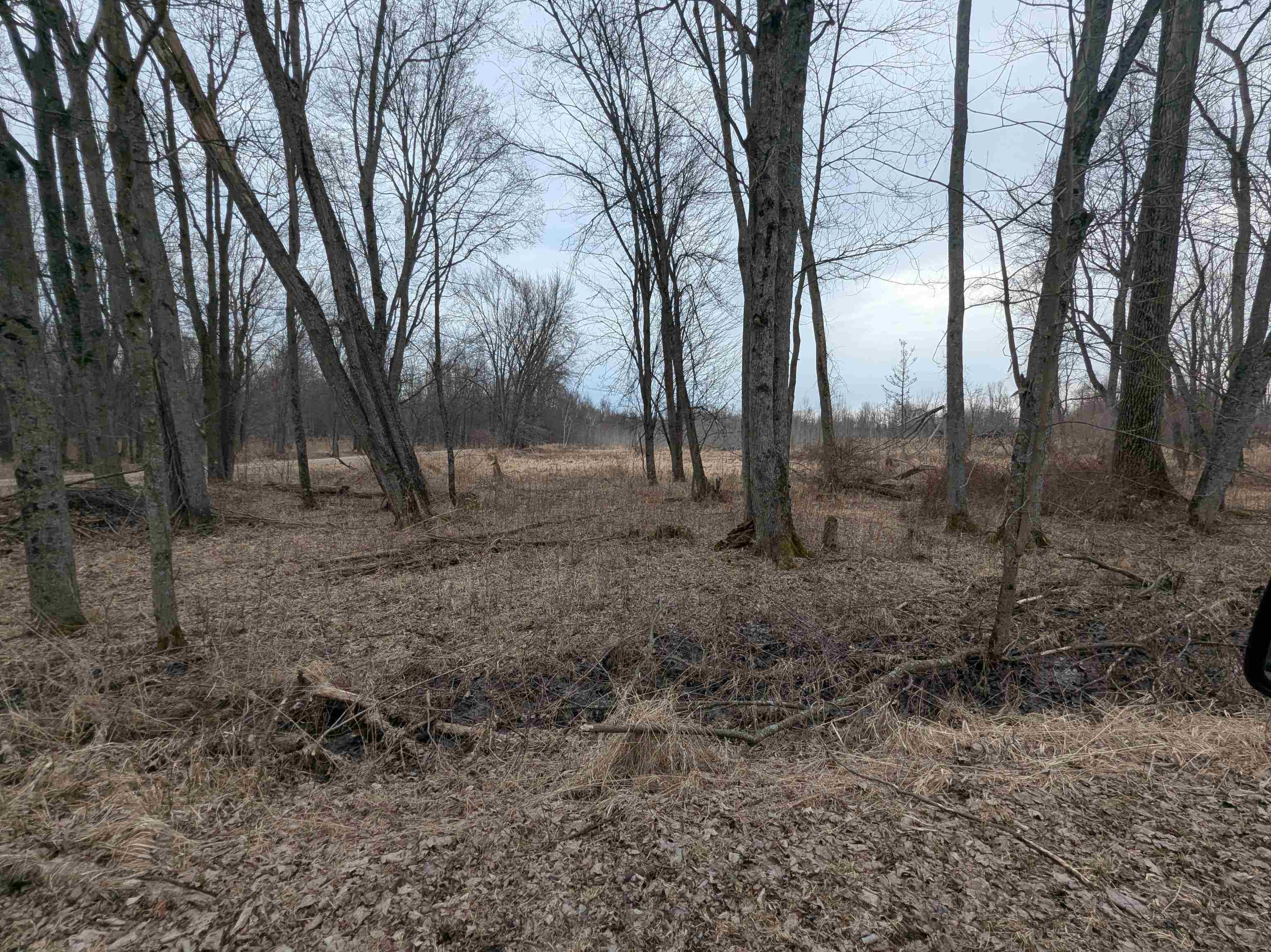 4438 Reynolds Road, Turner, MI, 48765