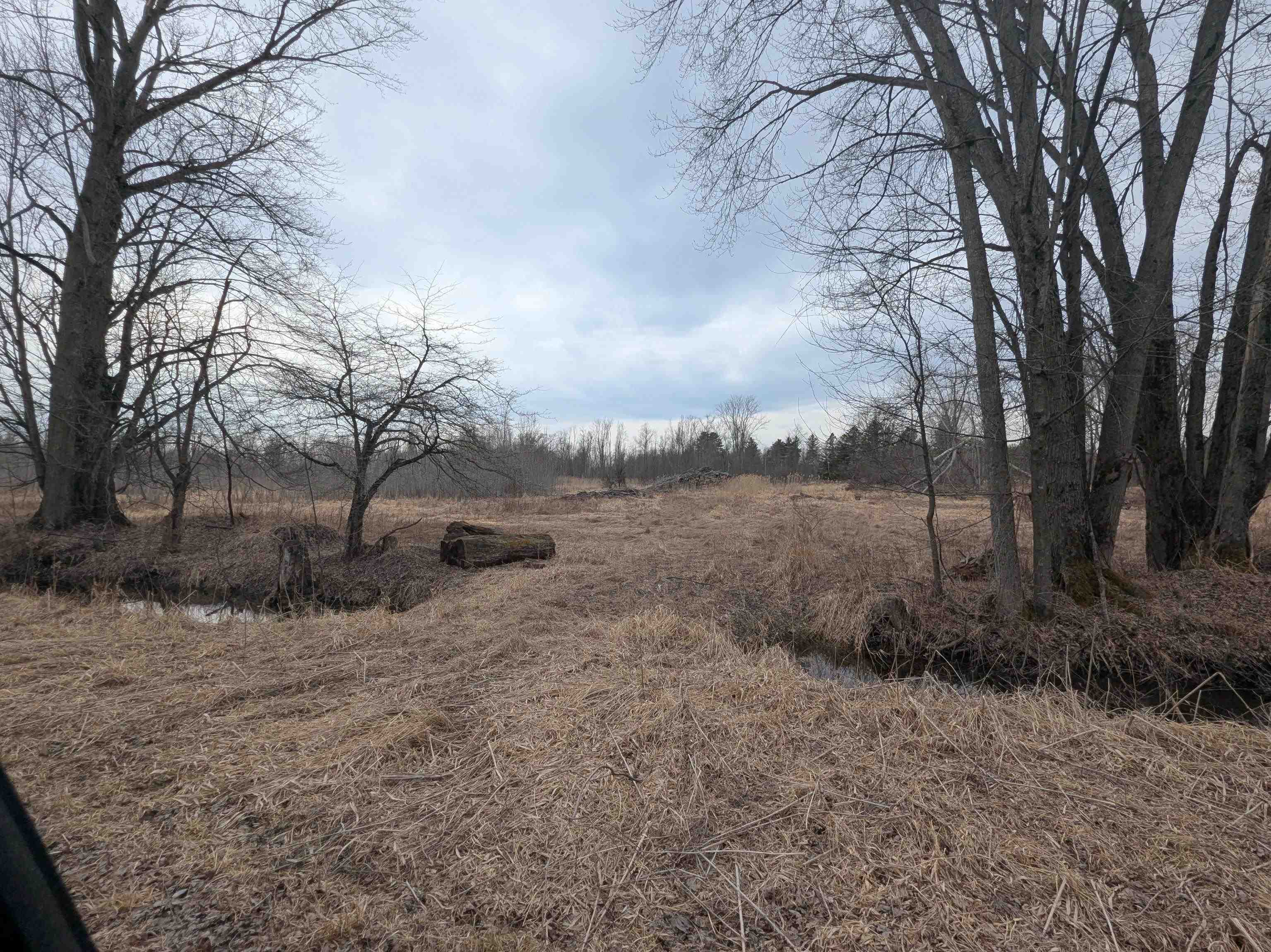 4438 Reynolds Road, Turner, MI, 48765