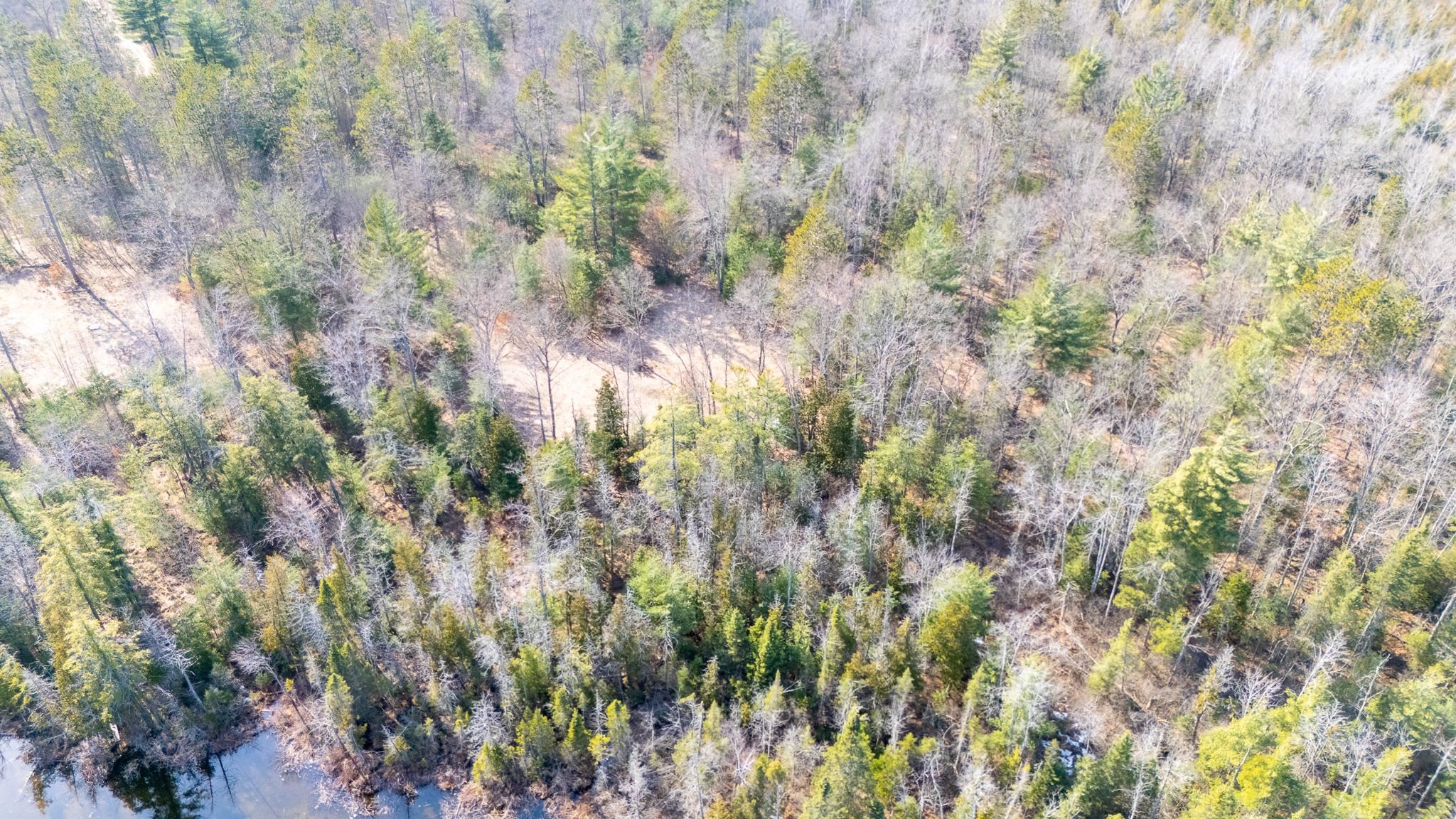 1.12AC Snowbowl Road, Houghton Lake, MI, 48629