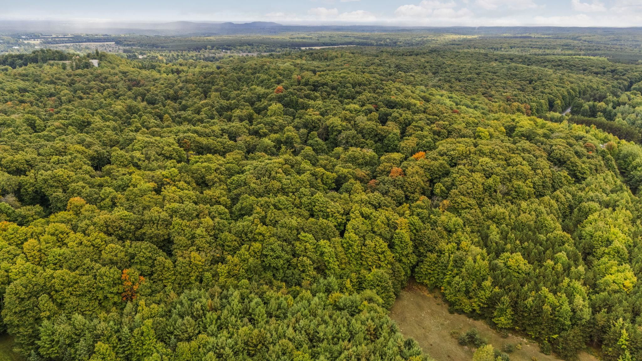 0 S Golden Valley Drive, Empire, MI, 49630