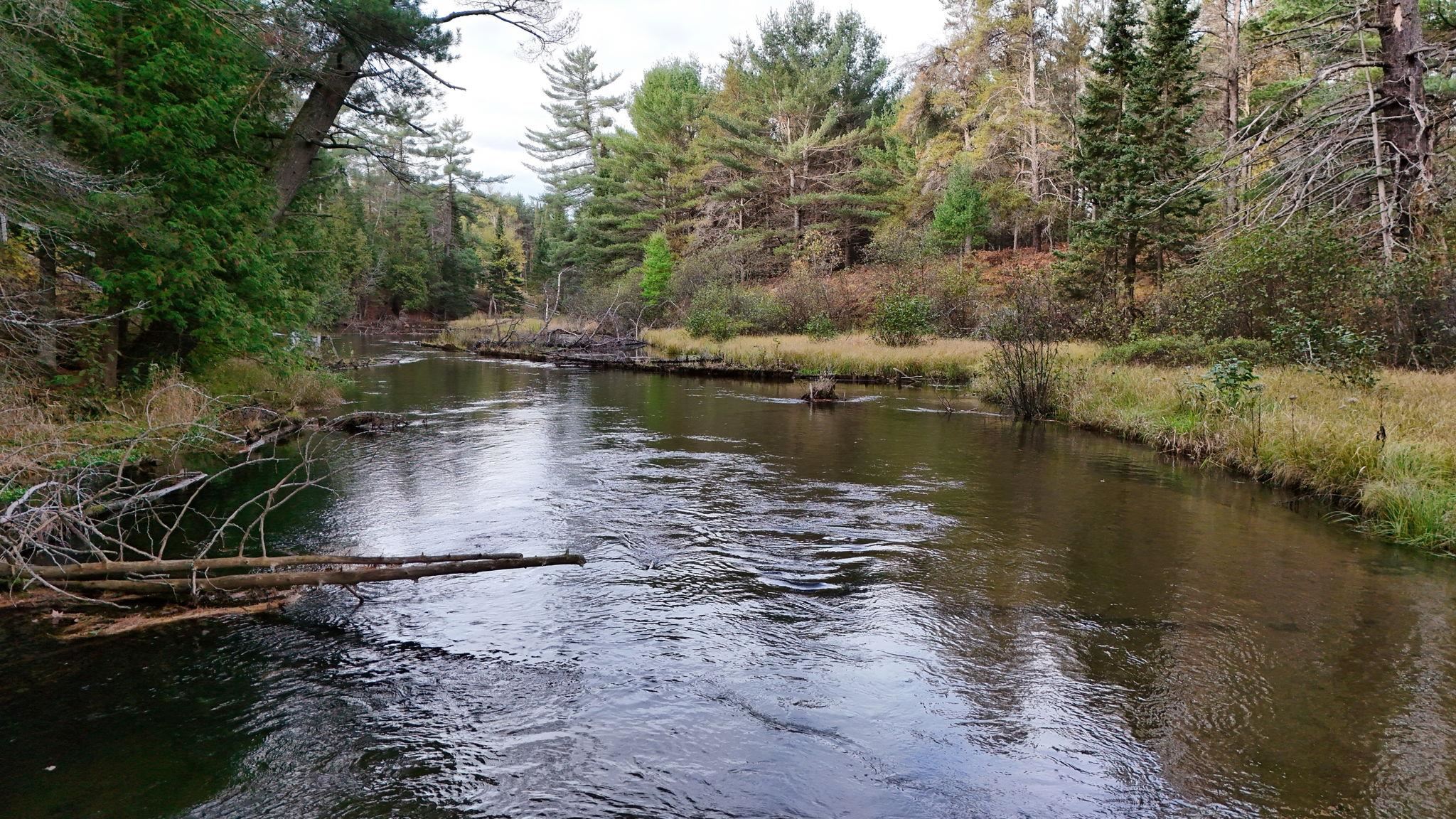 6051 Manistee River Road UNIT&nbsp;Lot: 13, Frederic, MI, 49733