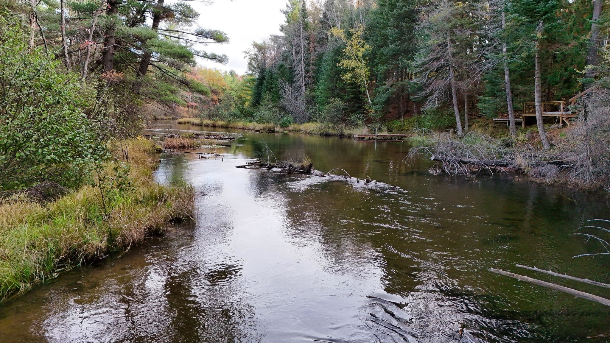 6051 Manistee River Road UNIT&nbsp;Lot: 13, Frederic, MI, 49733