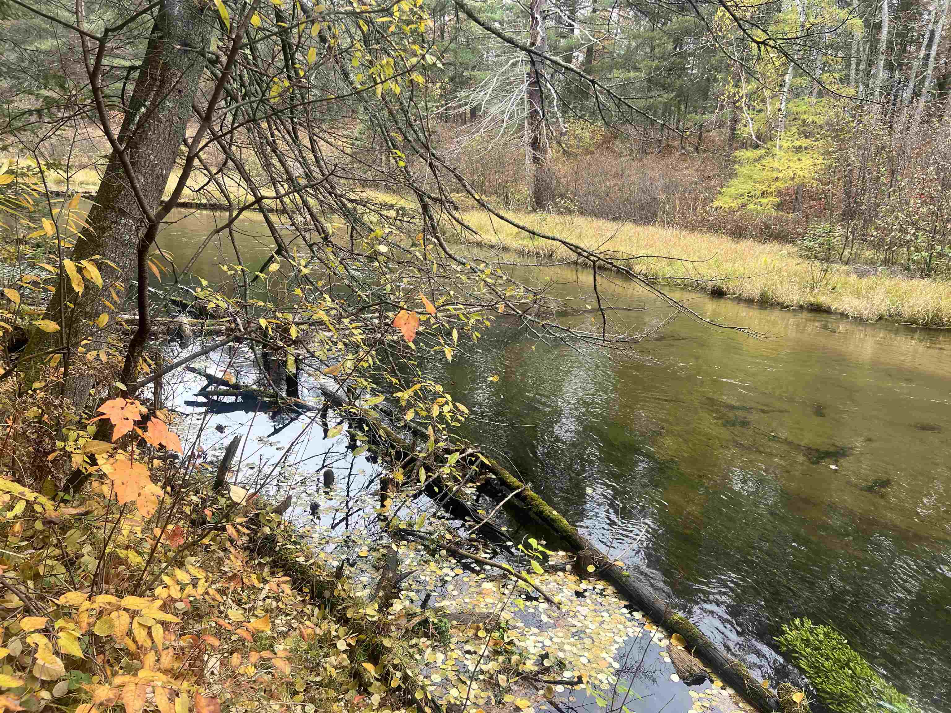 Homes for sale in Frederic, MI | 6051 Manistee River Rd #Lot: 13, Frederic, MI 49733 | MLS# 80066505