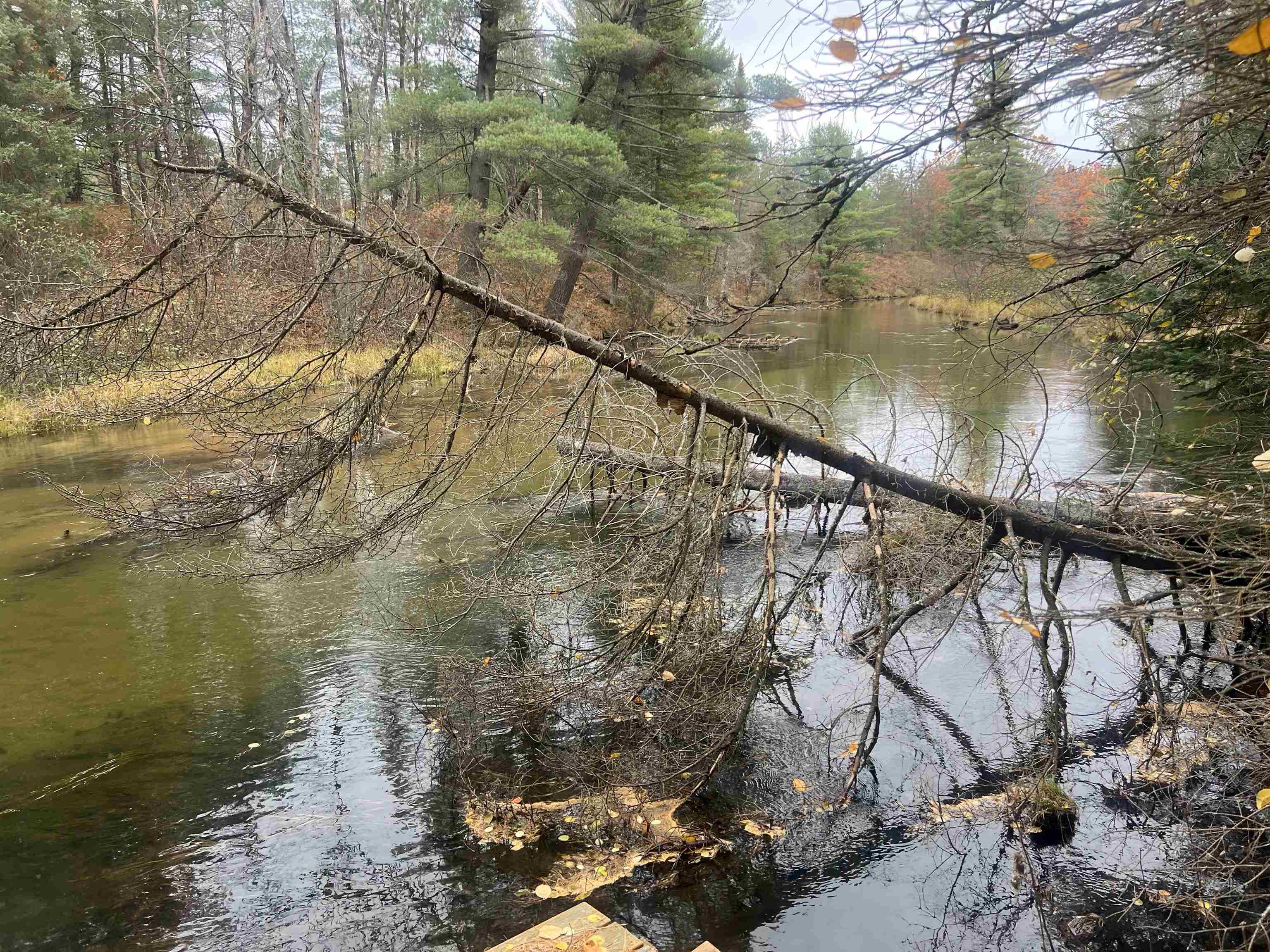 6051 Manistee River Road UNIT&nbsp;Lot: 13, Frederic, MI, 49733