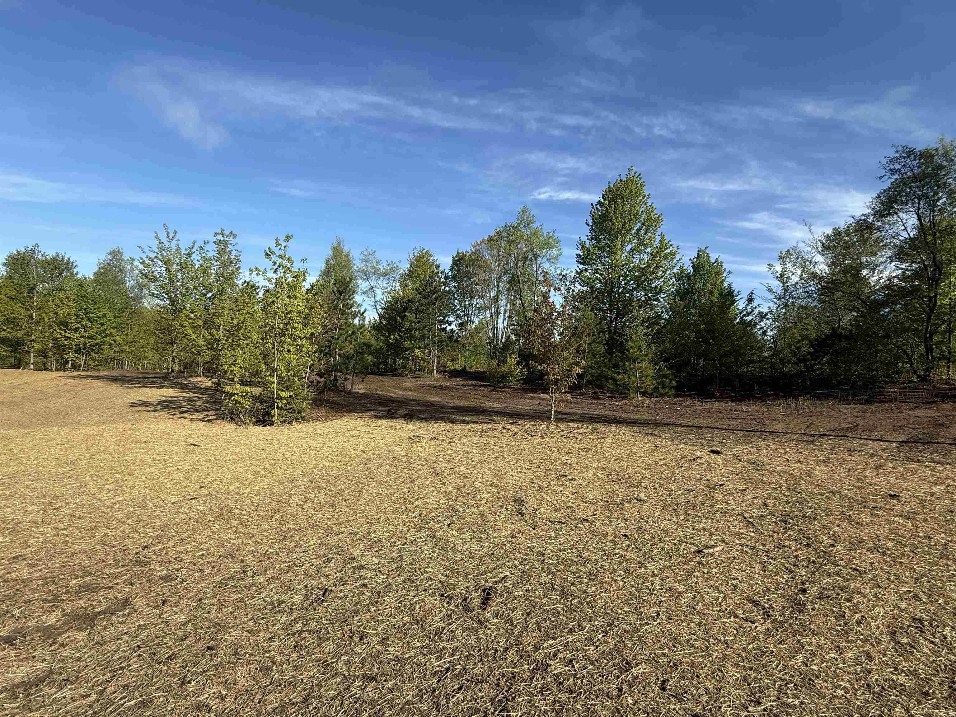 1029 E Solaris Way, Maple City, MI, 49664