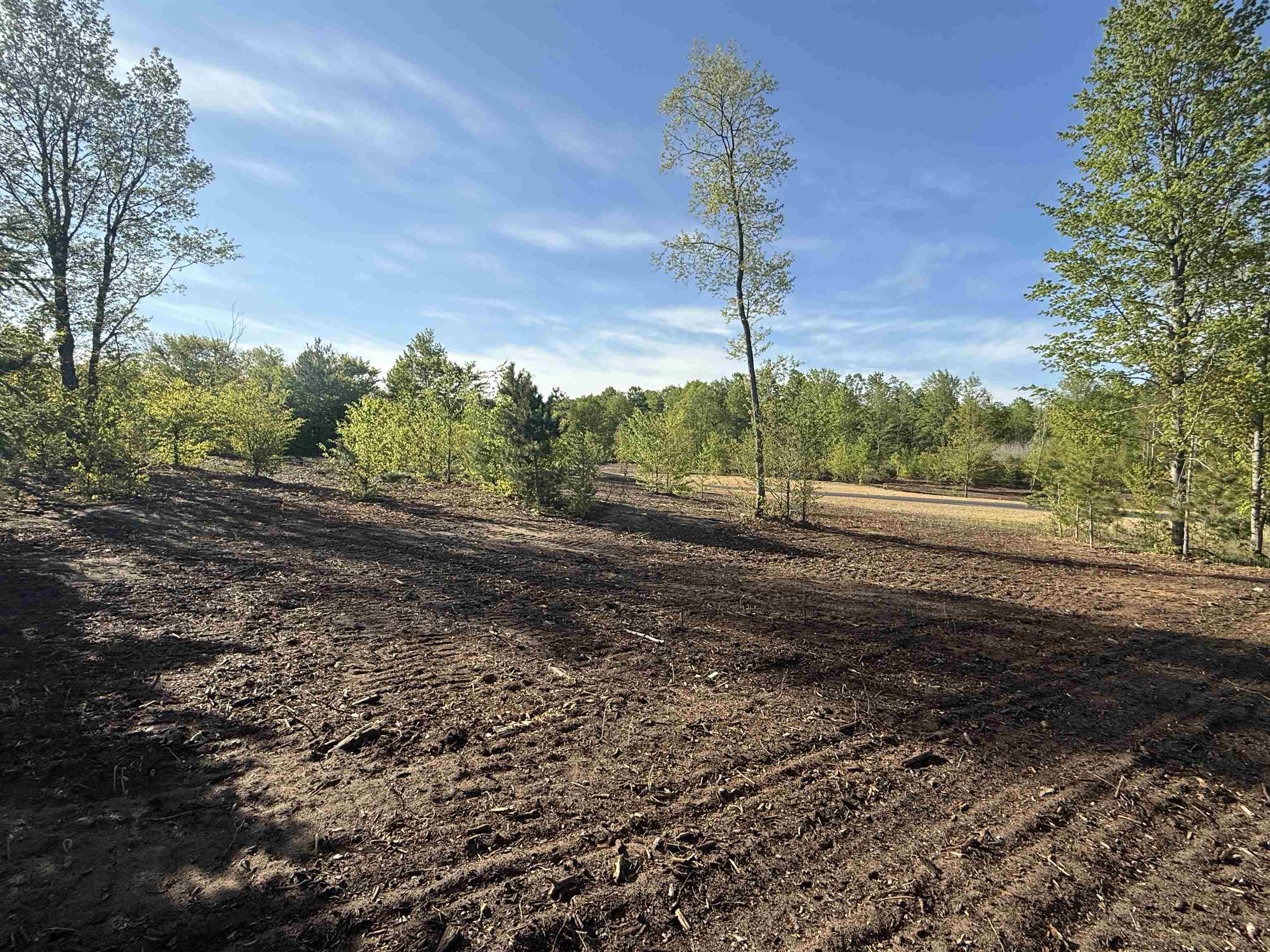 1029 E Solaris Way, Maple City, MI, 49664