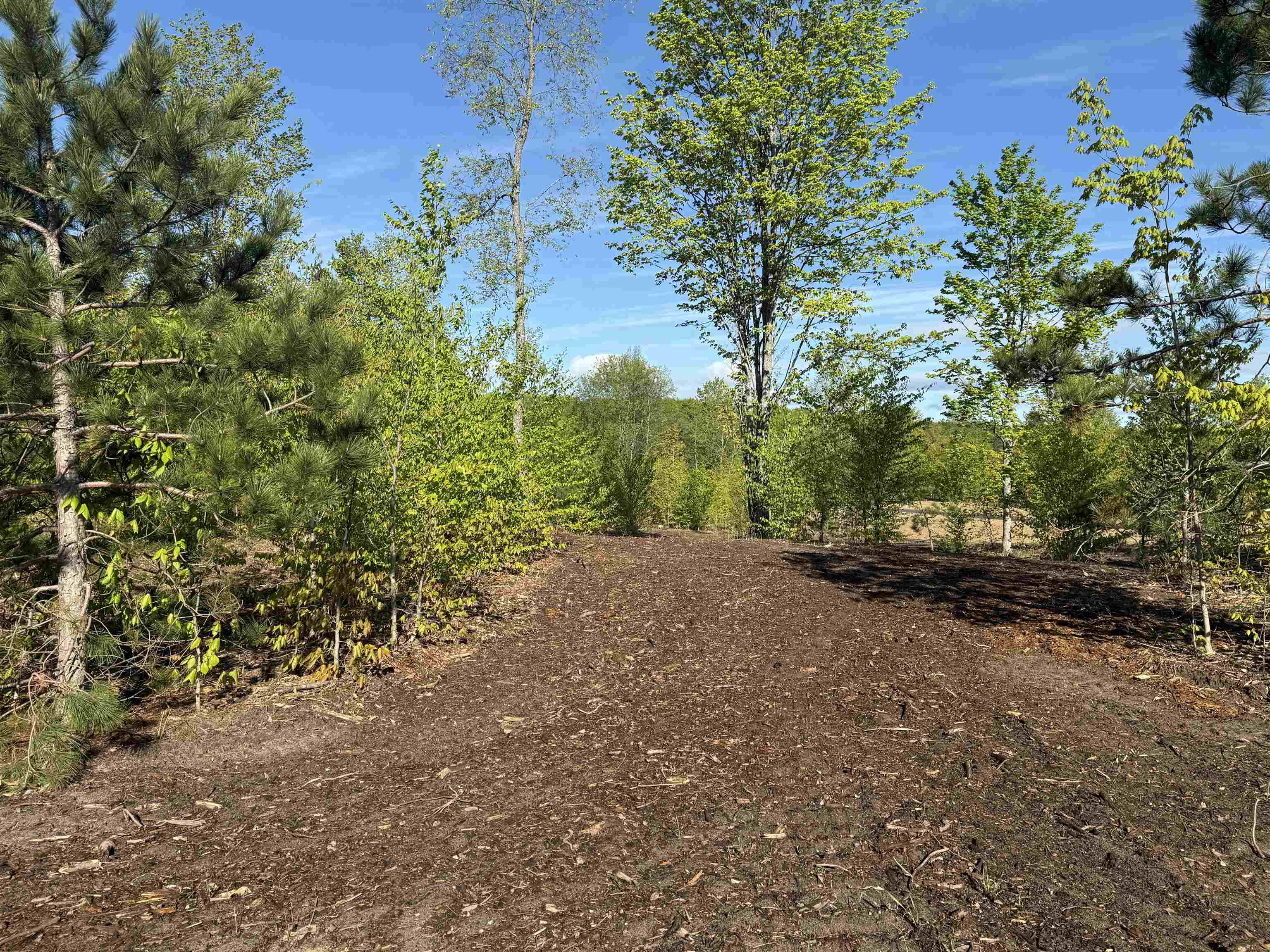 1060 E Solaris Way, Maple City, MI, 49664