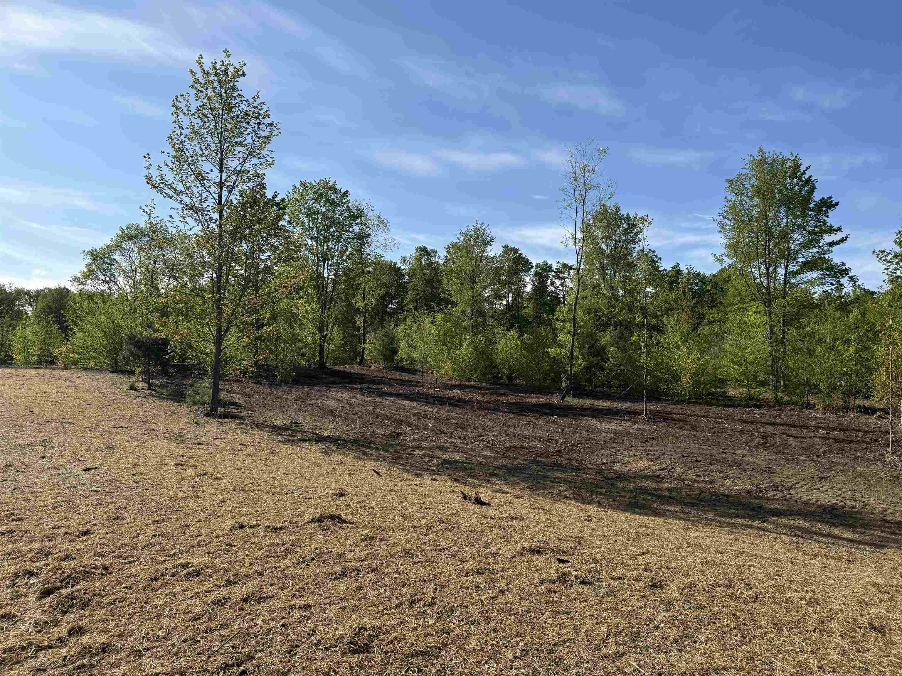 1060 E Solaris Way, Maple City, MI, 49664