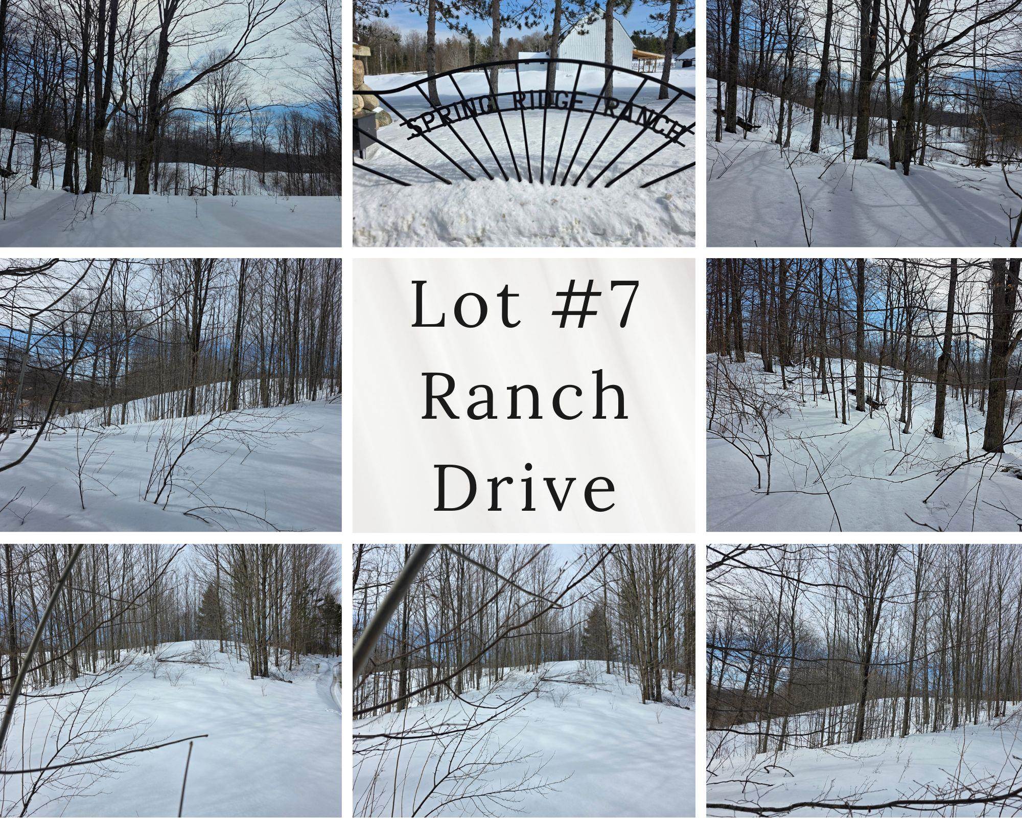 VL Ranch Drive, Bellaire, MI, 49615