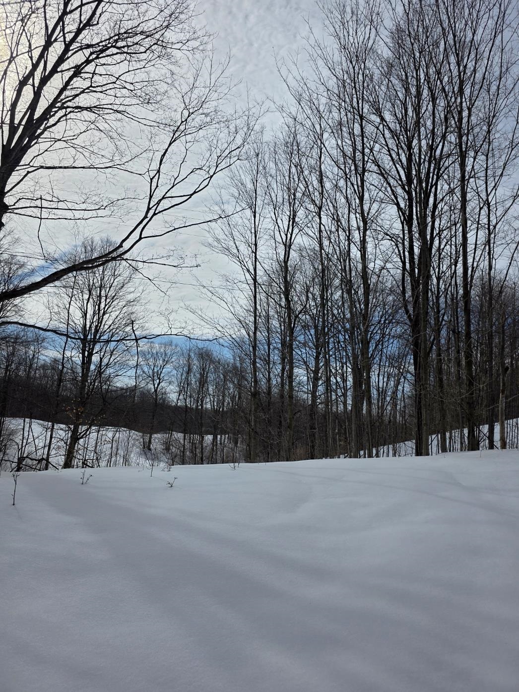 VL Ranch Drive, Bellaire, MI, 49615