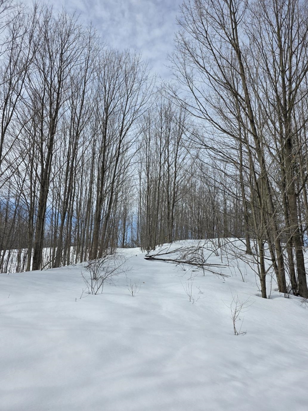 VL Ranch Drive, Bellaire, MI, 49615