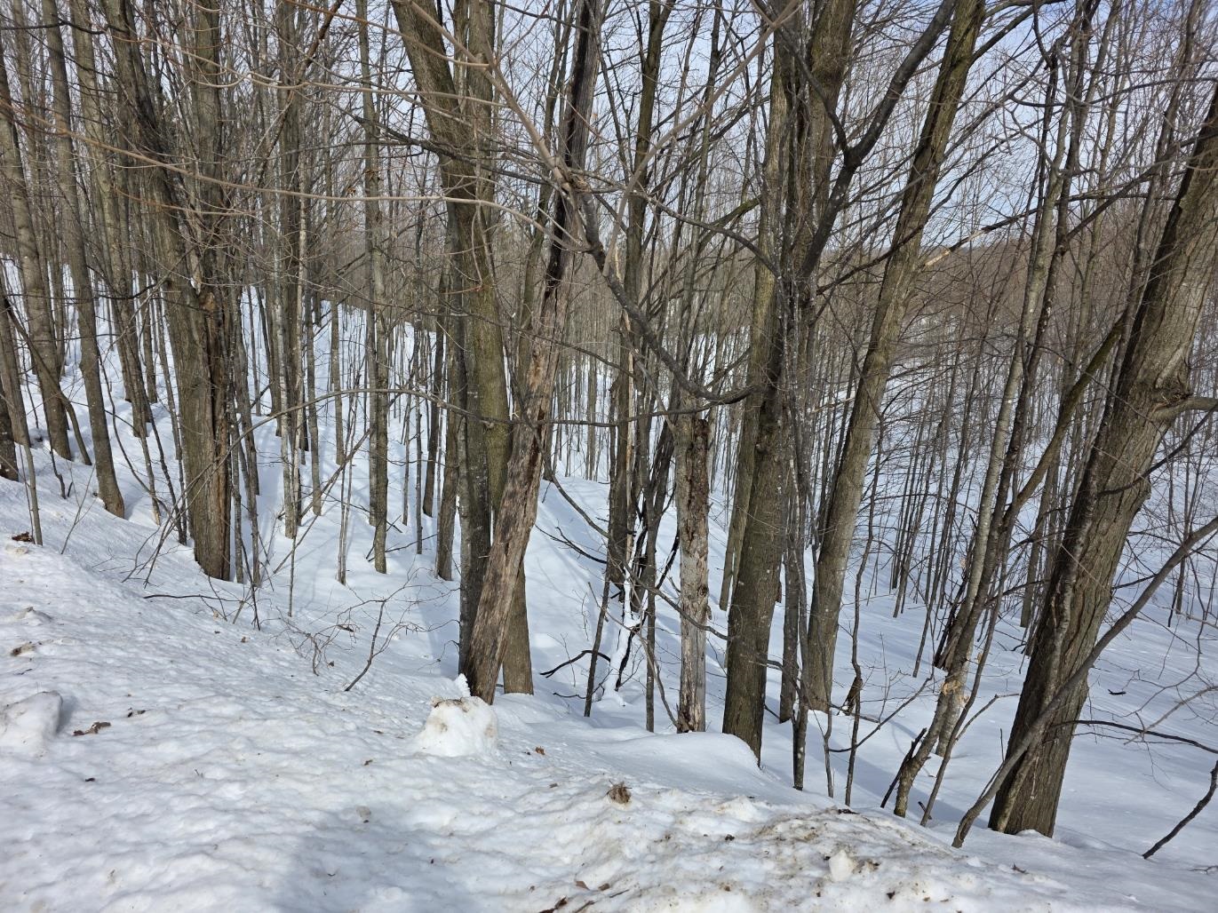 VL Ranch Drive, Bellaire, MI, 49615