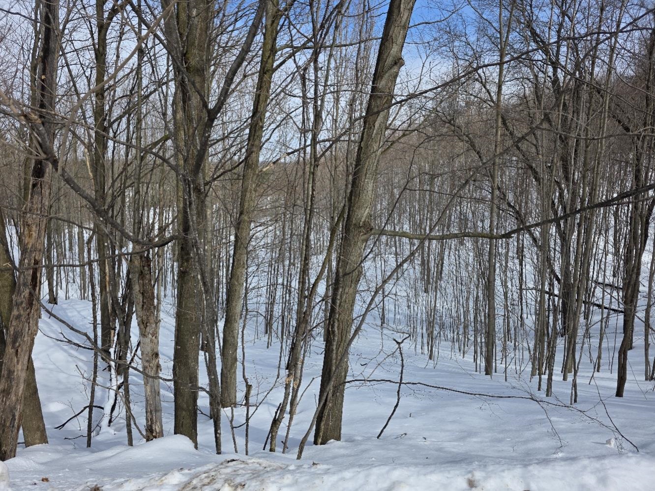 VL Ranch Drive, Bellaire, MI, 49615