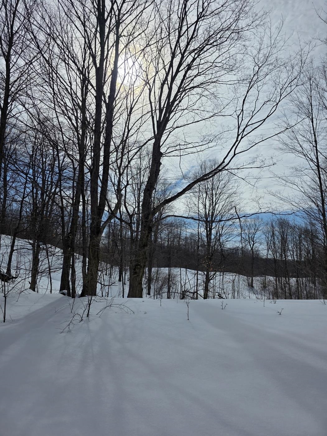 VL Ranch Drive, Bellaire, MI, 49615