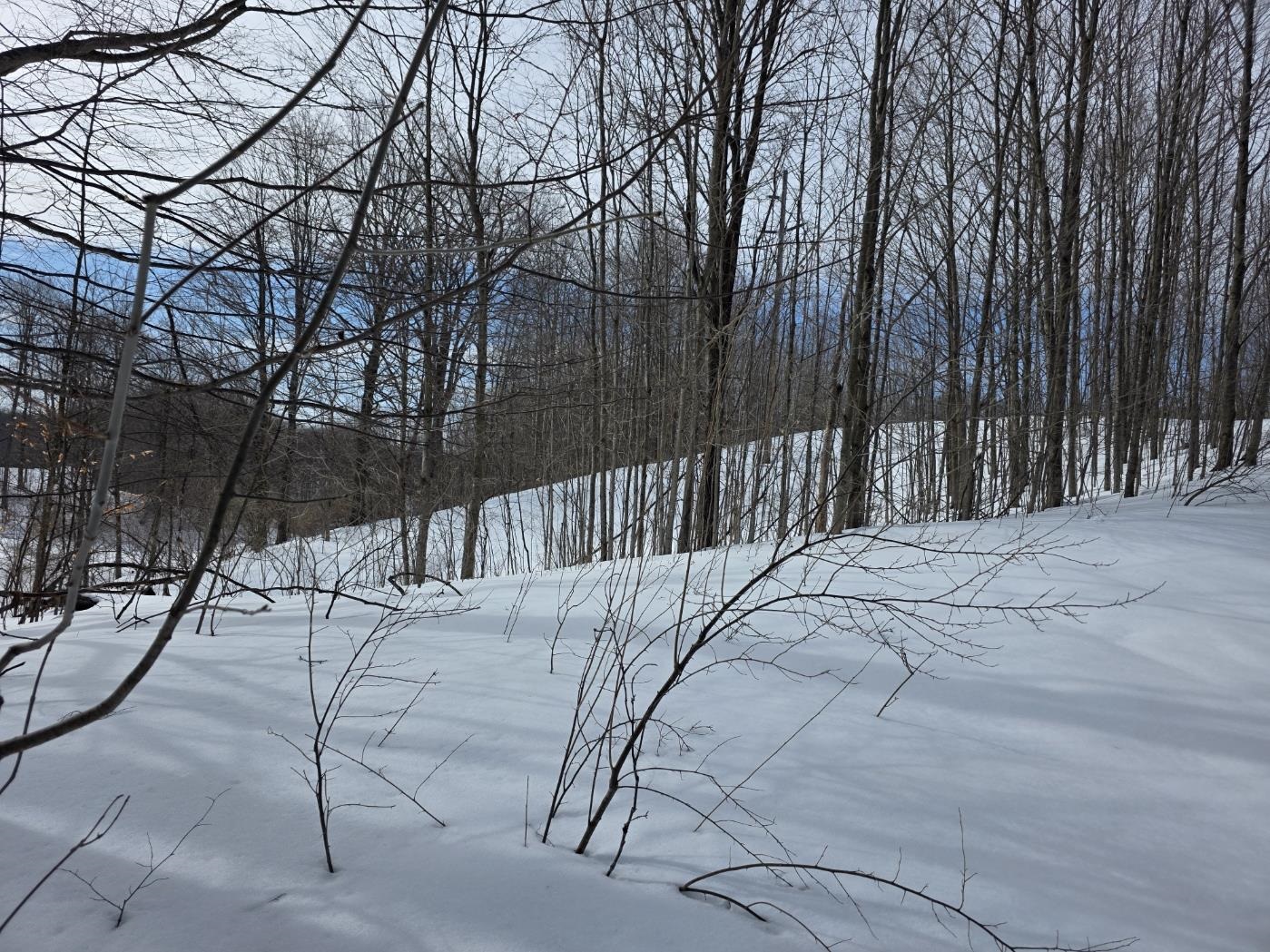 VL Ranch Drive, Bellaire, MI, 49615