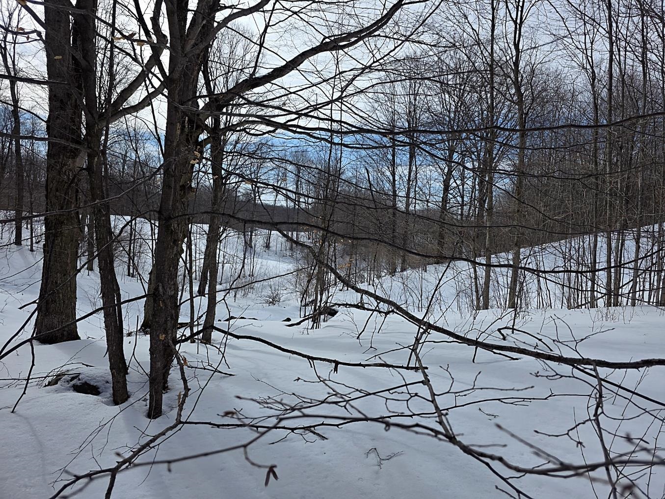 VL Ranch Drive, Bellaire, MI, 49615