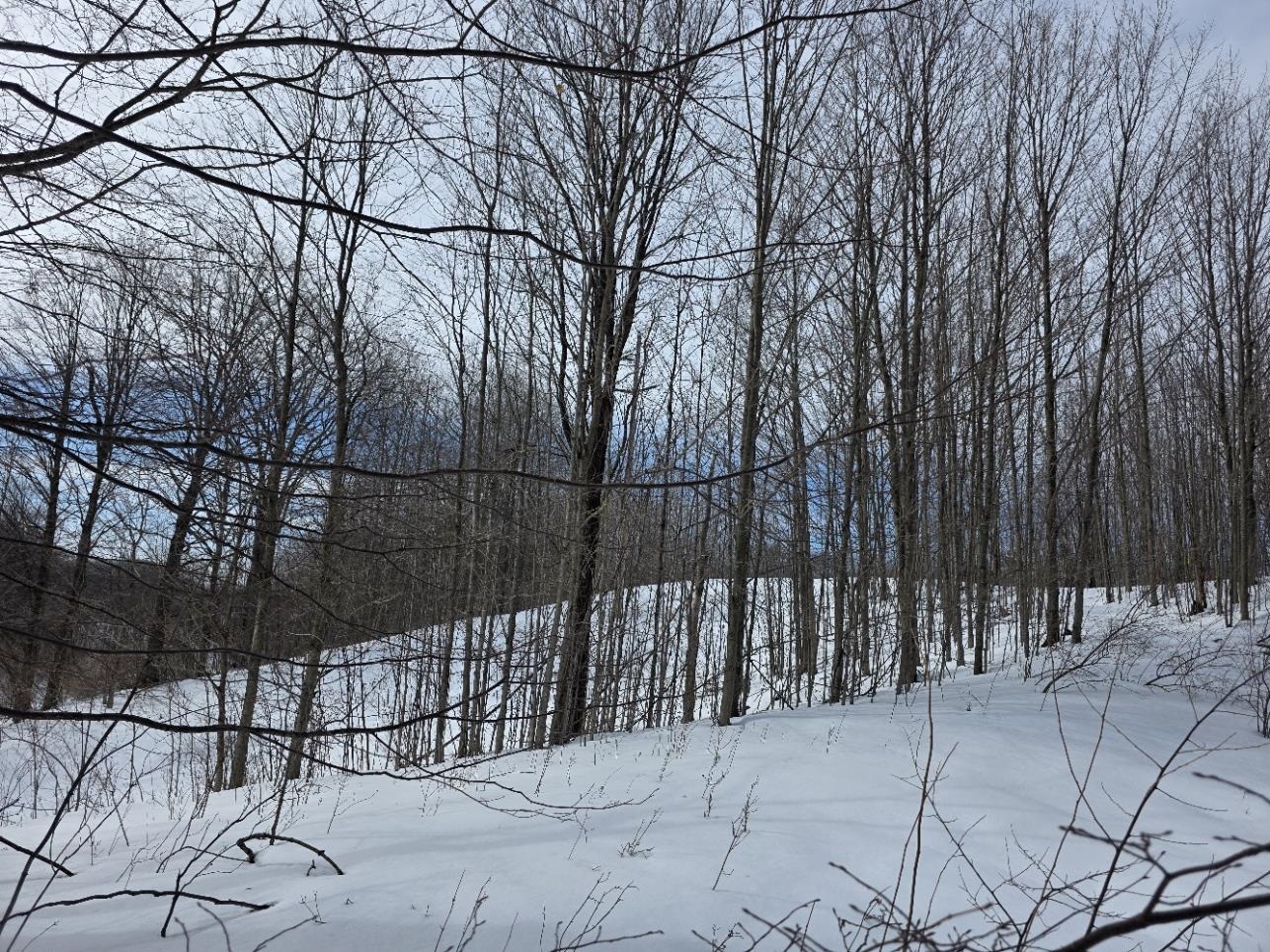 VL Ranch Drive, Bellaire, MI, 49615