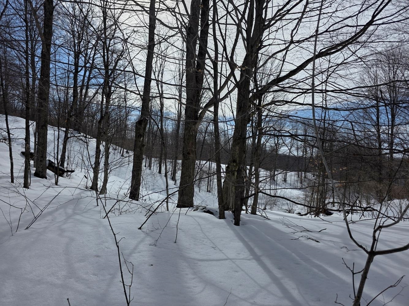 VL Ranch Drive, Bellaire, MI, 49615