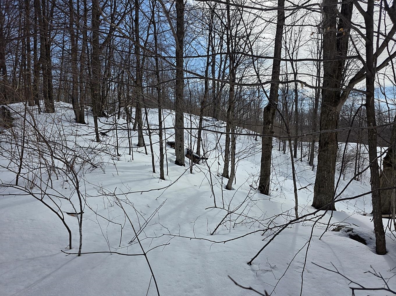 VL Ranch Drive, Bellaire, MI, 49615