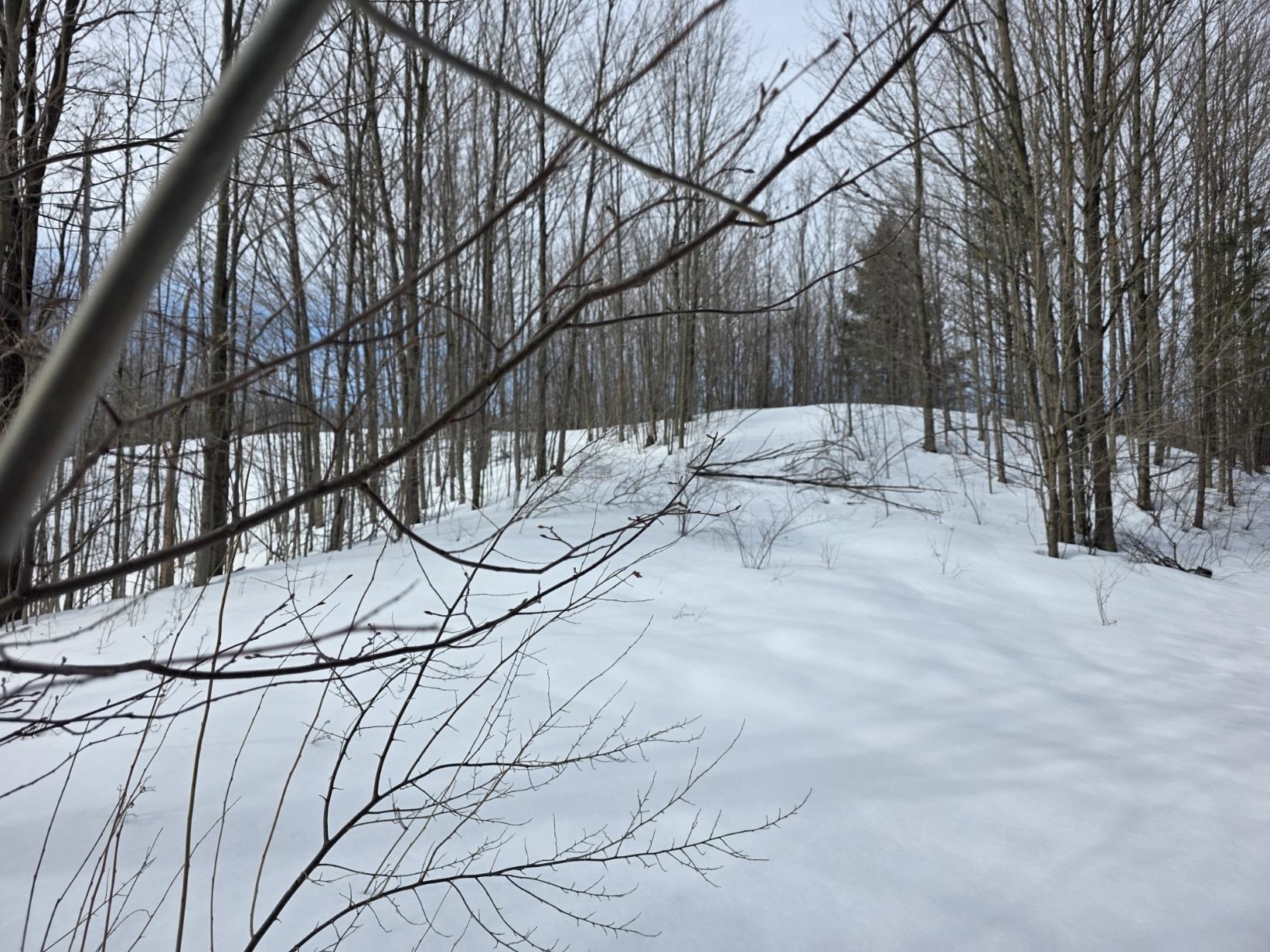 VL Ranch Drive, Bellaire, MI, 49615