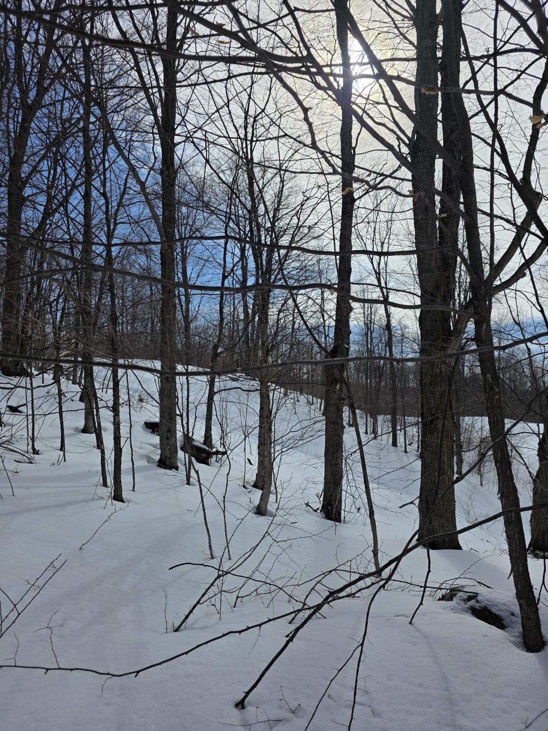 VL Ranch Drive, Bellaire, MI, 49615