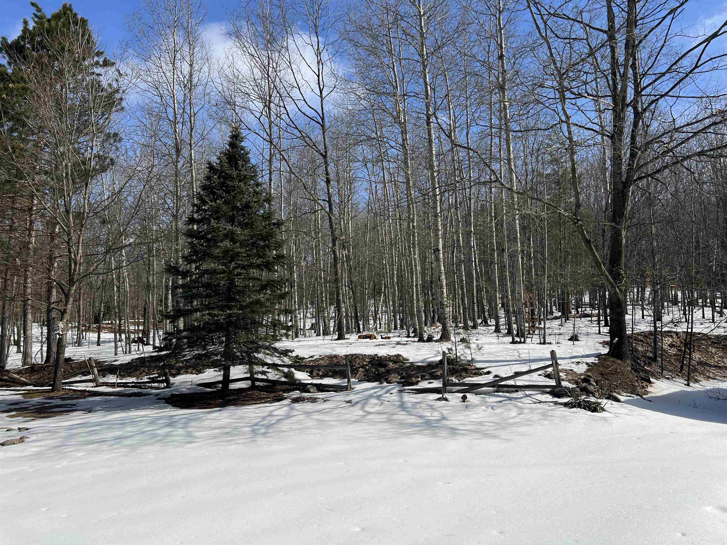 0319 Lund Road, Fife Lake, MI, 49633