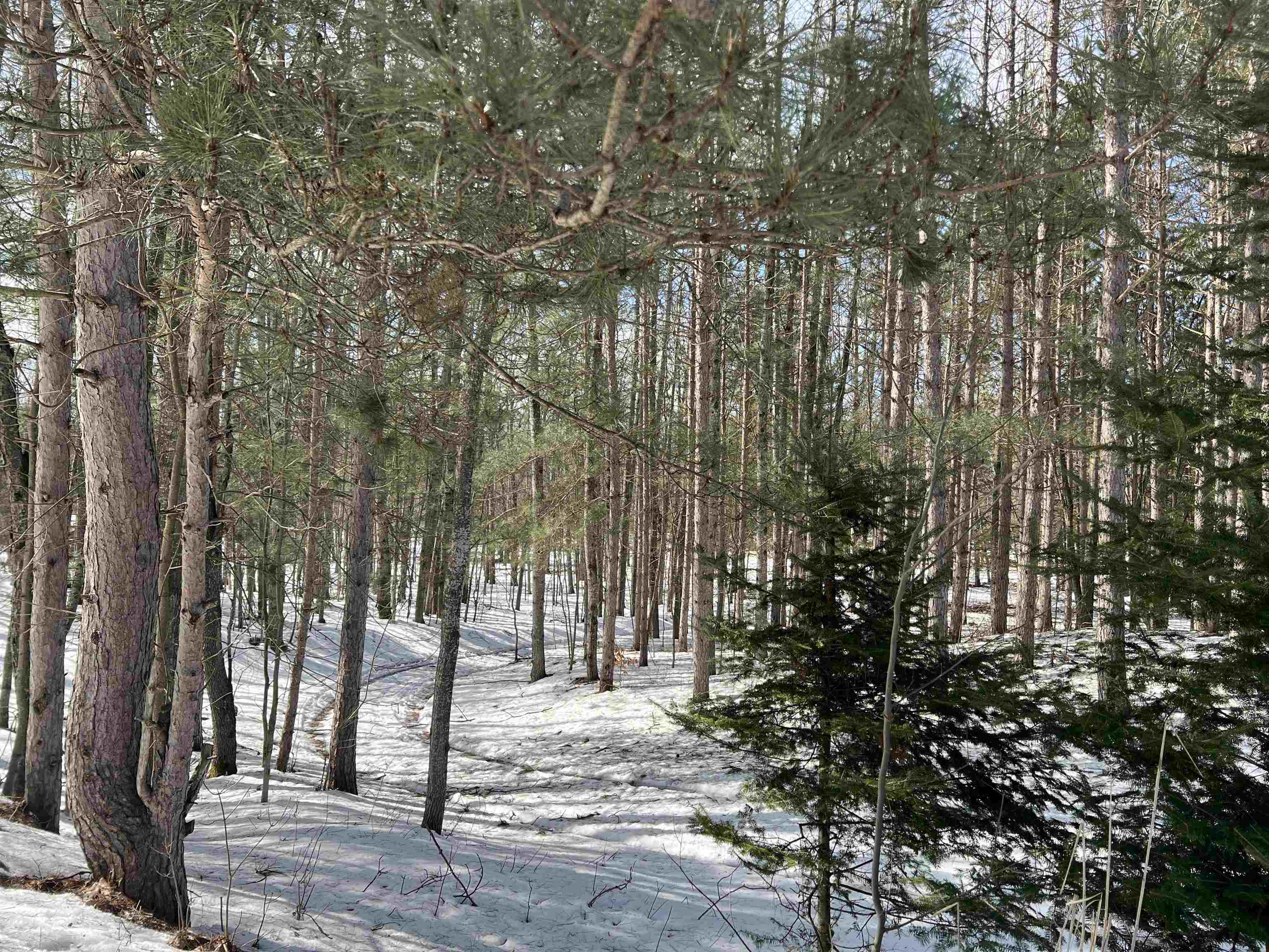 0319 Lund Road, Fife Lake, MI, 49633