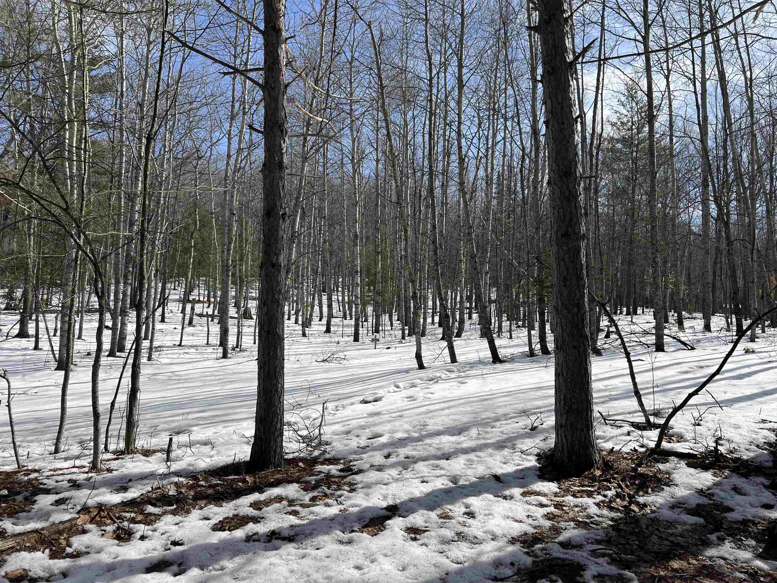 0319 Lund Road, Fife Lake, MI, 49633