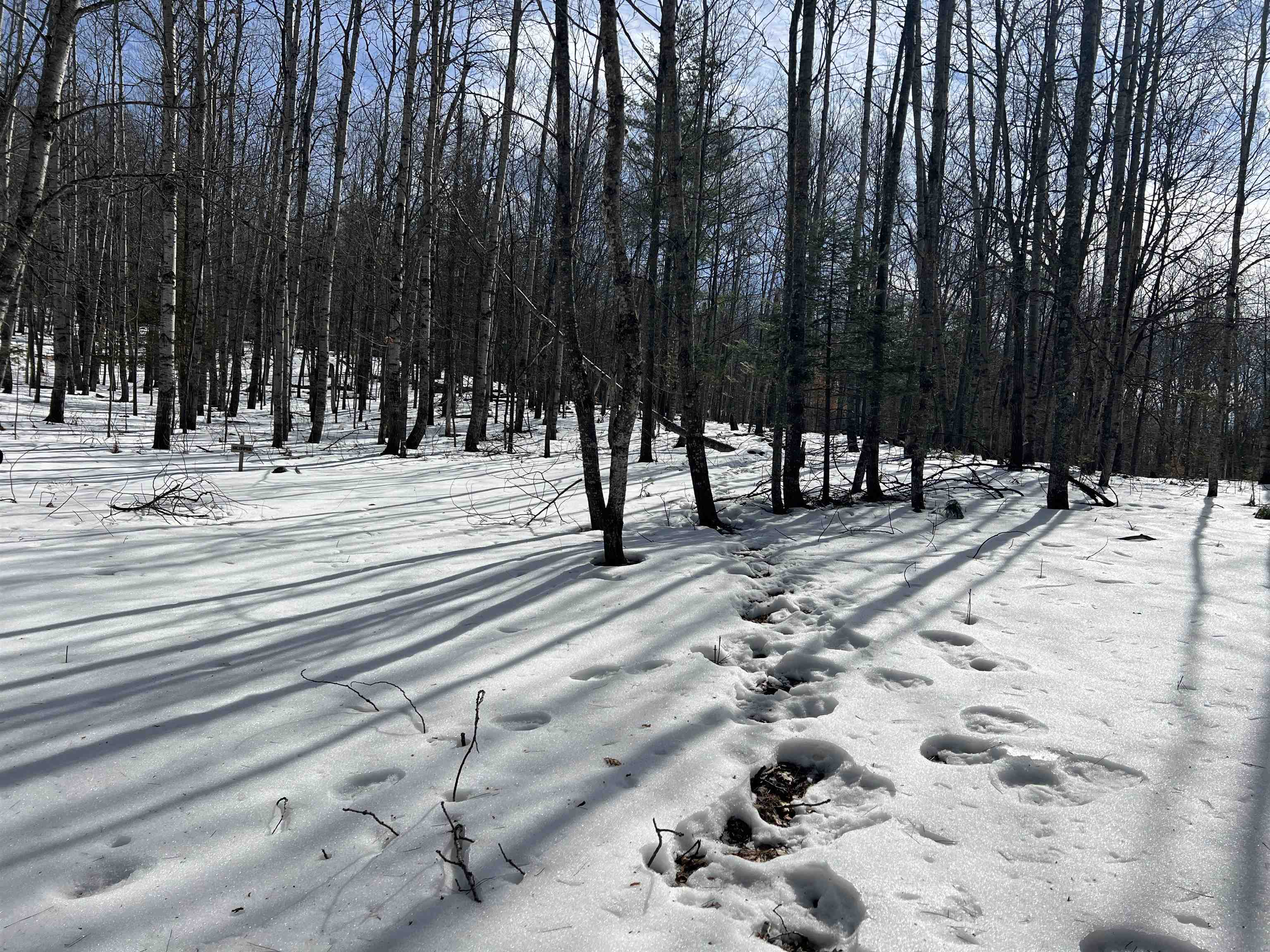 0319 Lund Road, Fife Lake, MI, 49633