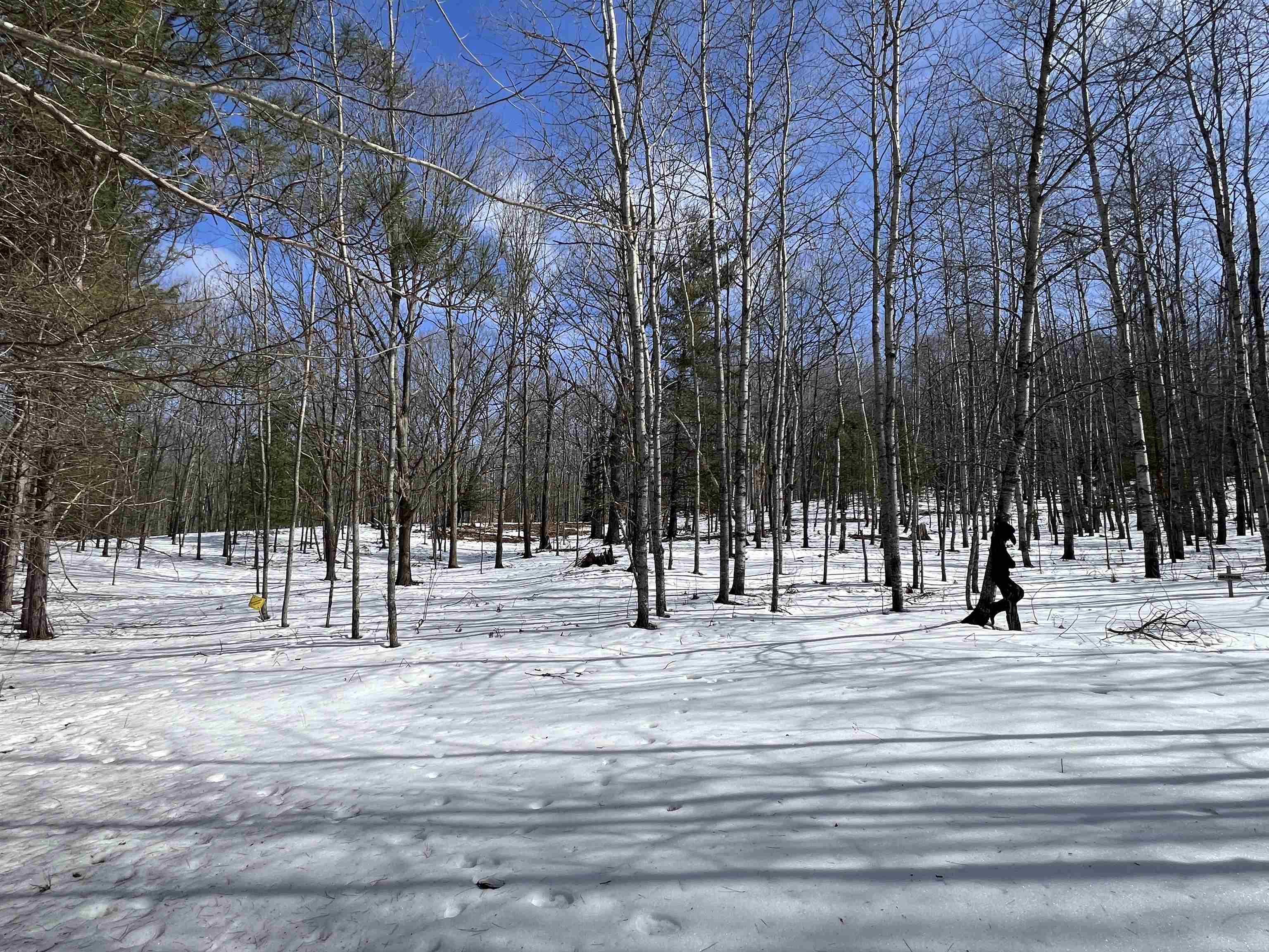 0319 Lund Road, Fife Lake, MI, 49633