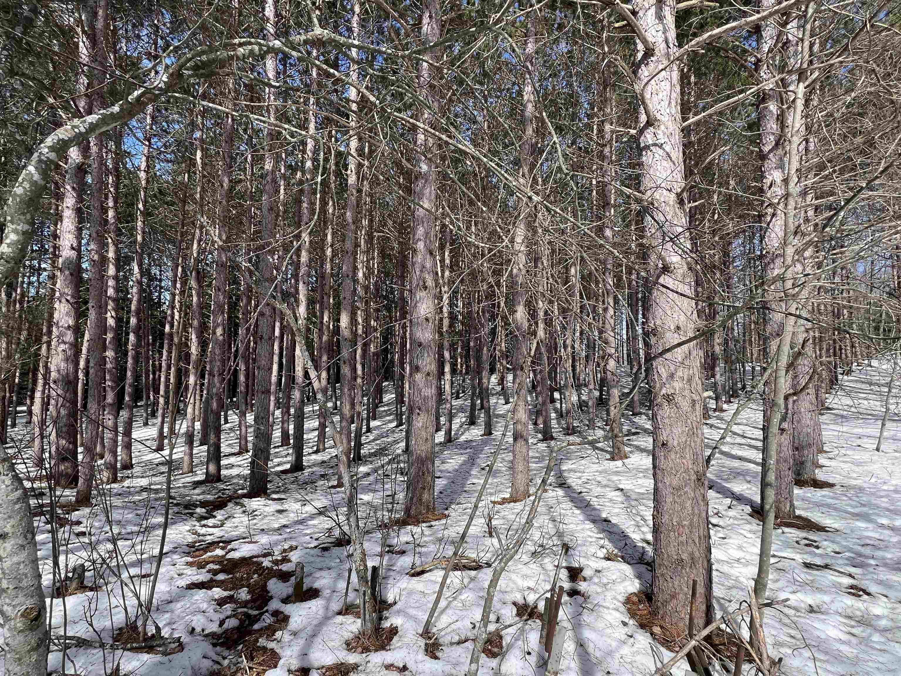 0319 Lund Road, Fife Lake, MI, 49633