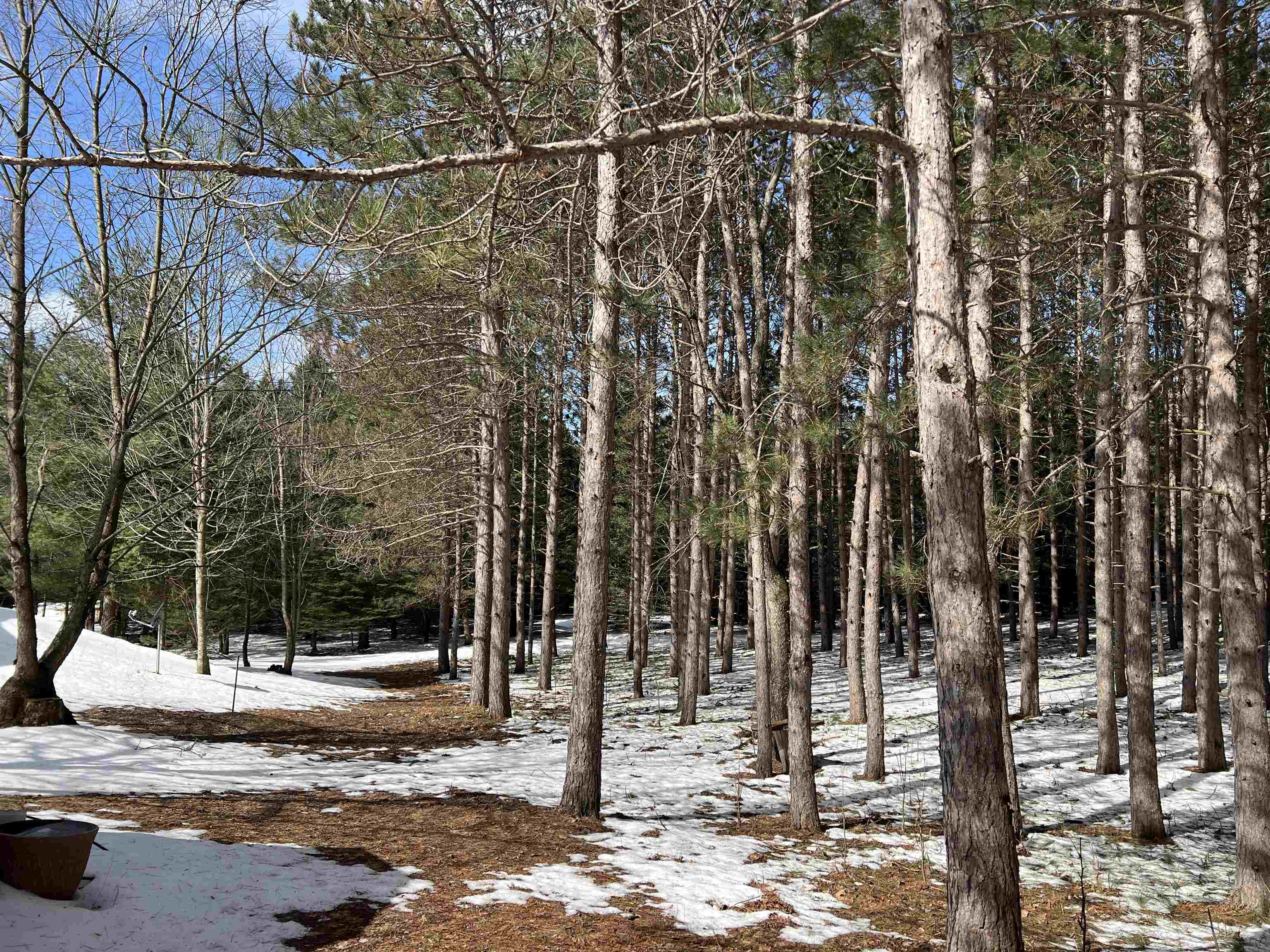 0319 Lund Road, Fife Lake, MI, 49633