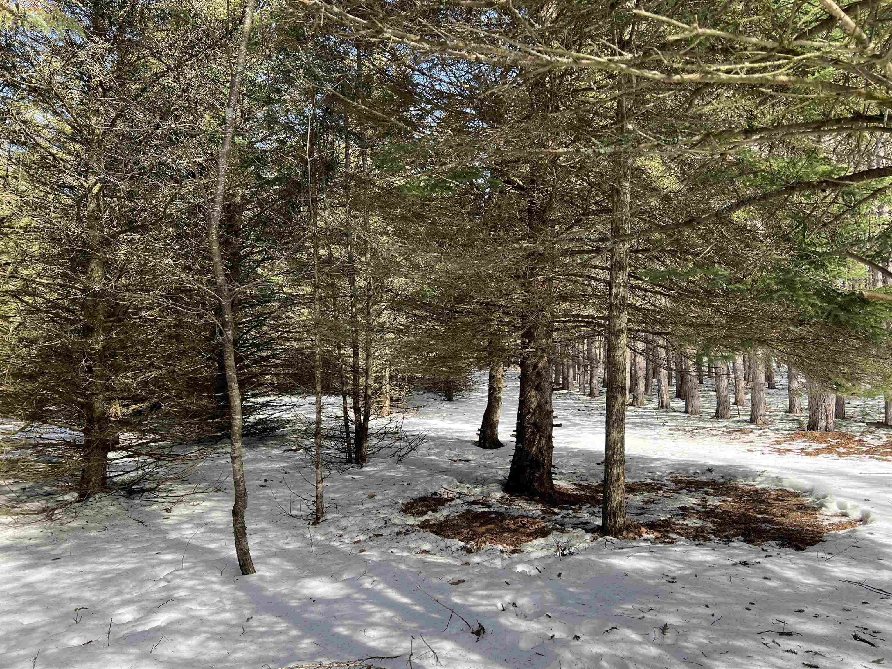 0319 Lund Road, Fife Lake, MI, 49633