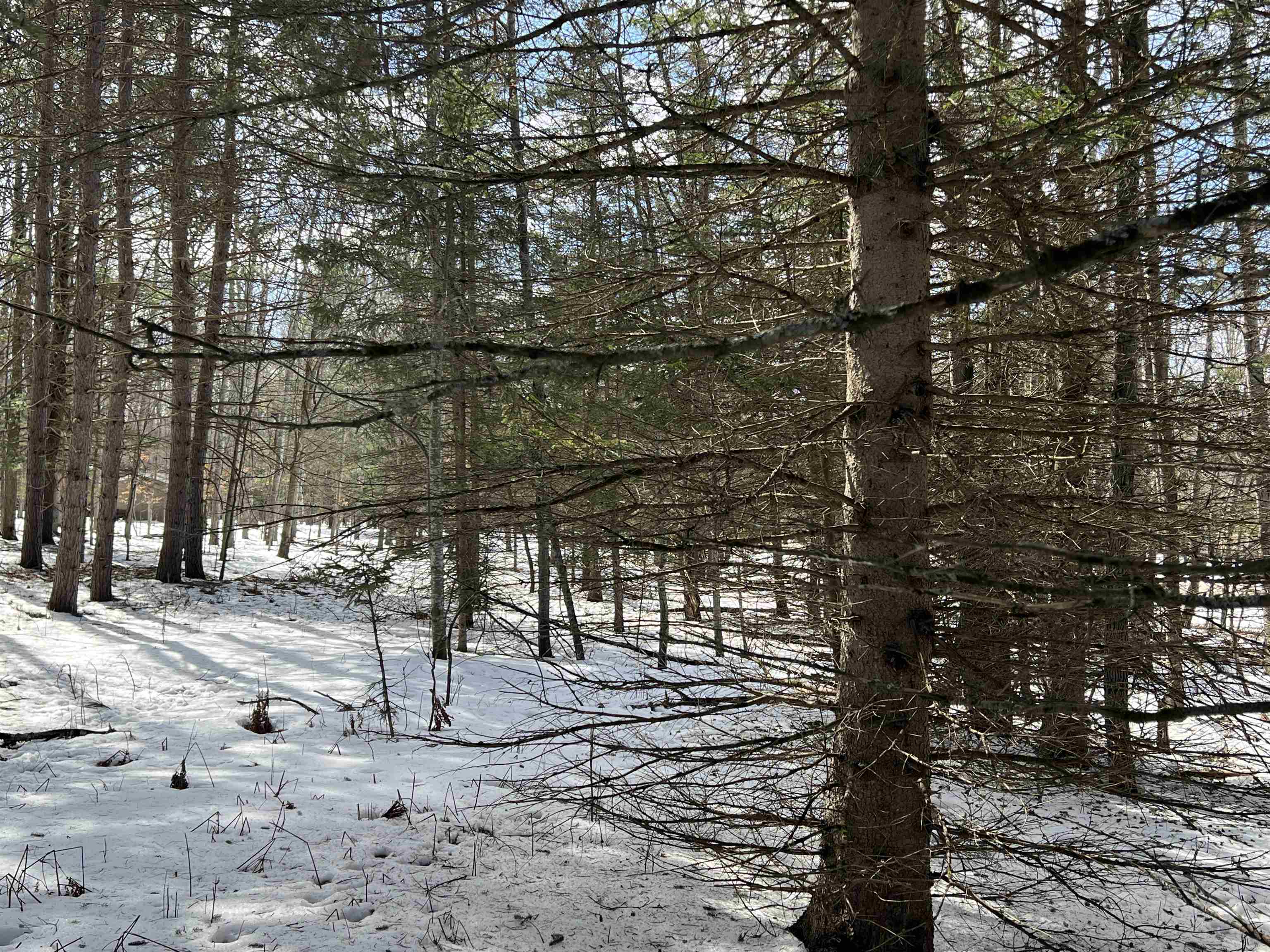 0319 Lund Road, Fife Lake, MI, 49633